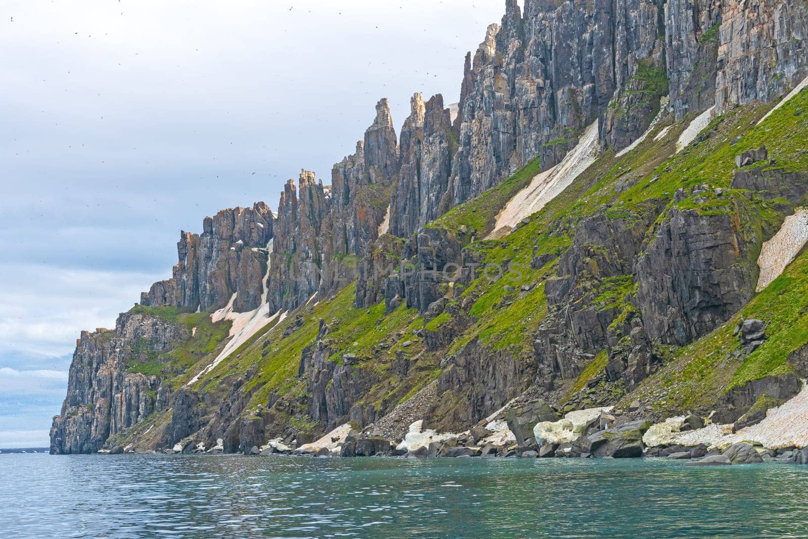 Jagged Bird Cliffs of Alkefjellet in the High Arctic of the Svalbard Islands