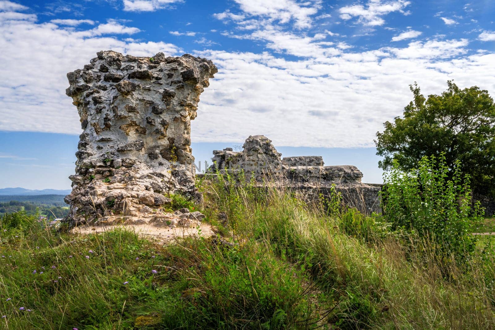 Ruin of the medieval Kallmuenz castle