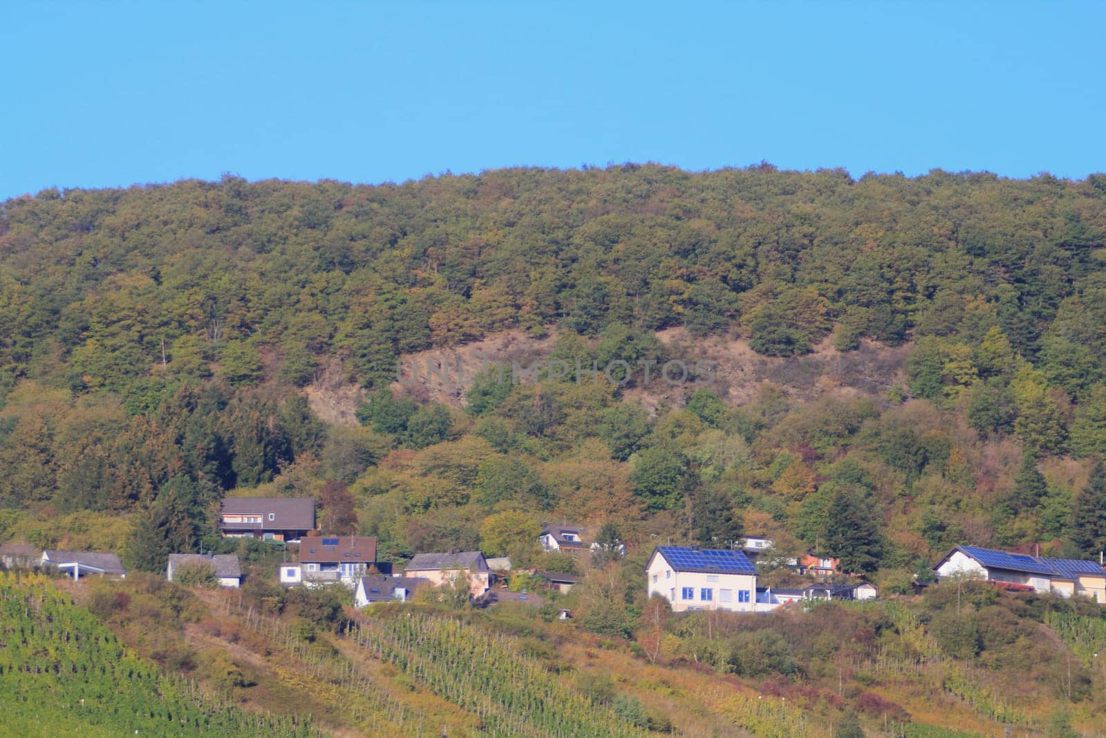 a small idyllic village in the forest, blue sky in background
