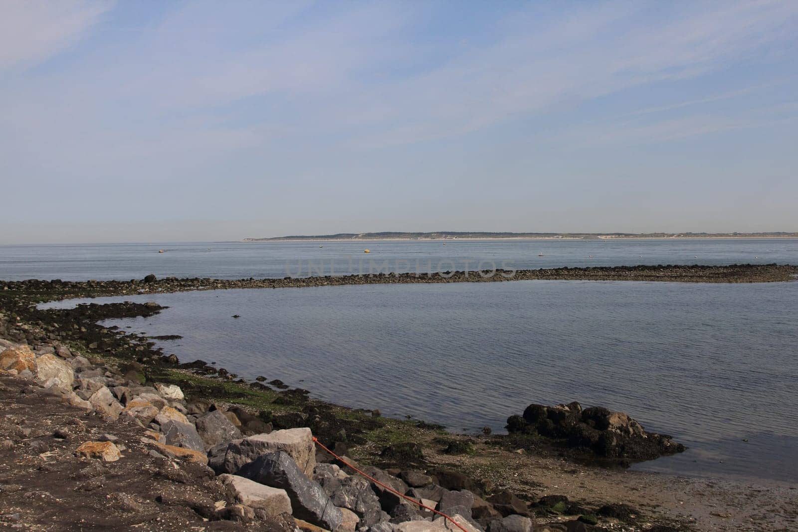 A stone coast with wild seagulls and the ocean in the background