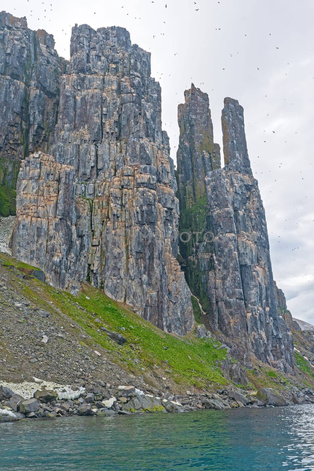 Swarms of Birds on Nesting Cliffs in the High Arctic at Alkefjellet in the Svalbard Islands