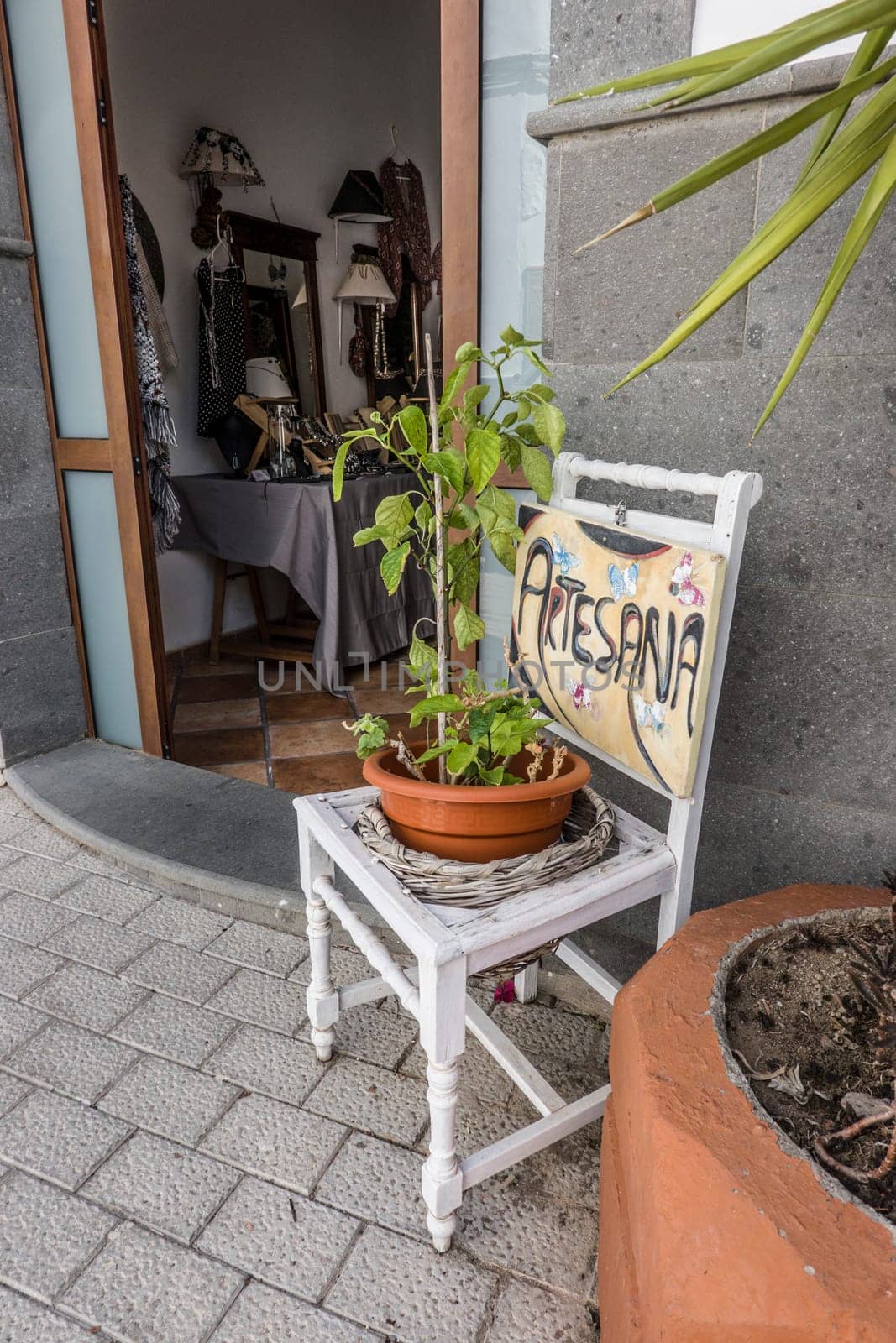 Topfpflanze auf einem weissen Stuhl vor einem Geschäft, Fataga, Gran Canaria, Spanien