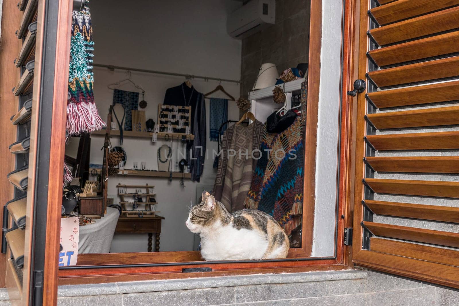 Katze schläft auf der Festerbank eine Geschäfts mit Bekleidung und Accessoires, Fataga, Gran Canaria, Spanien