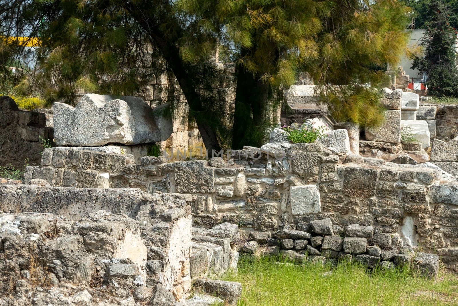 antique Roman ruins in Tyre - Sour - in  Lebanon, middle east