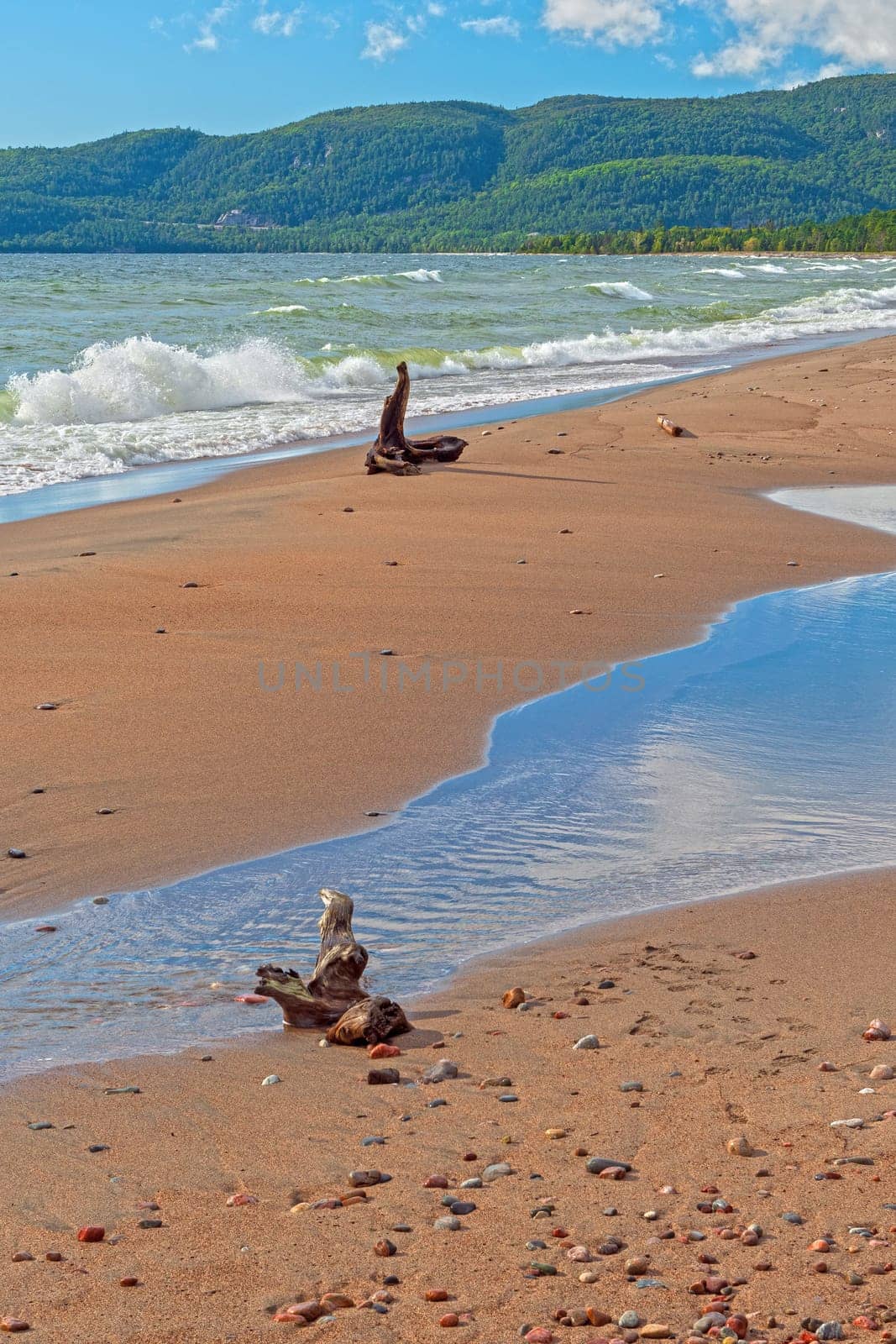 Driftwood on a Sandy Remote Shore on Agawa Bay in Lake Superior Provincial Park in Ontario