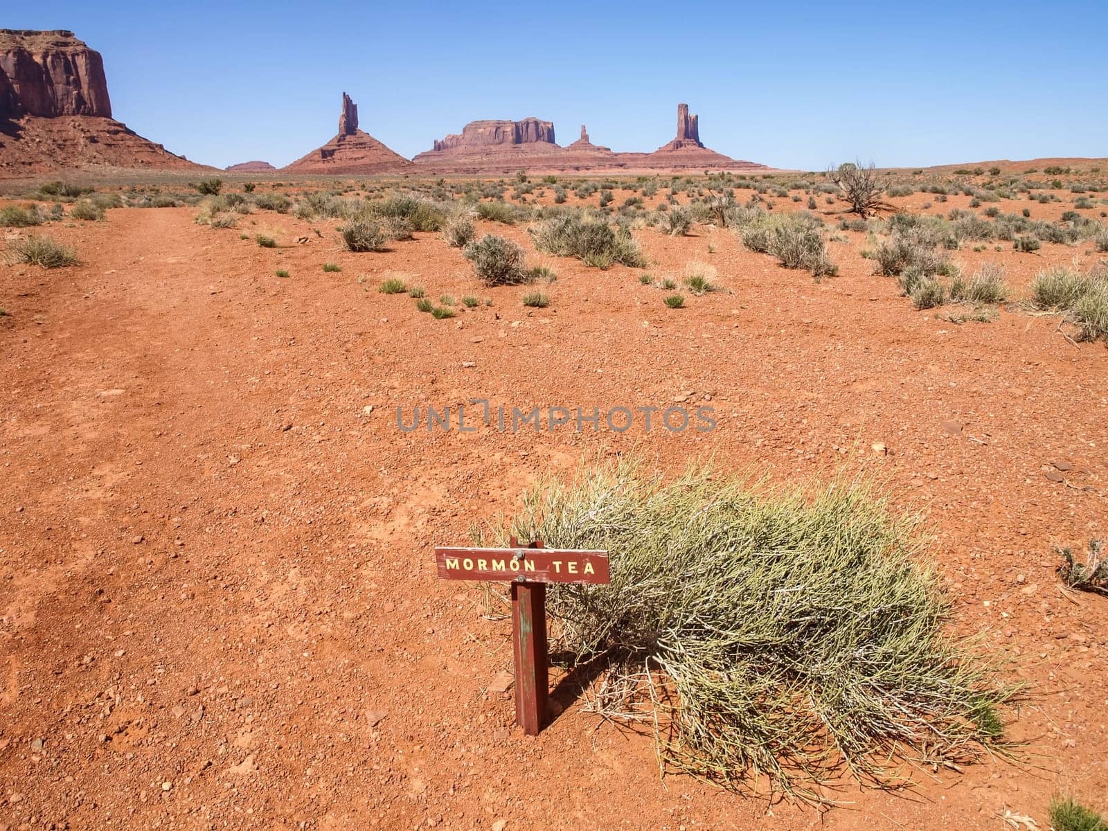 Landscape of the ancient rocks. Monument Valley, Arizona