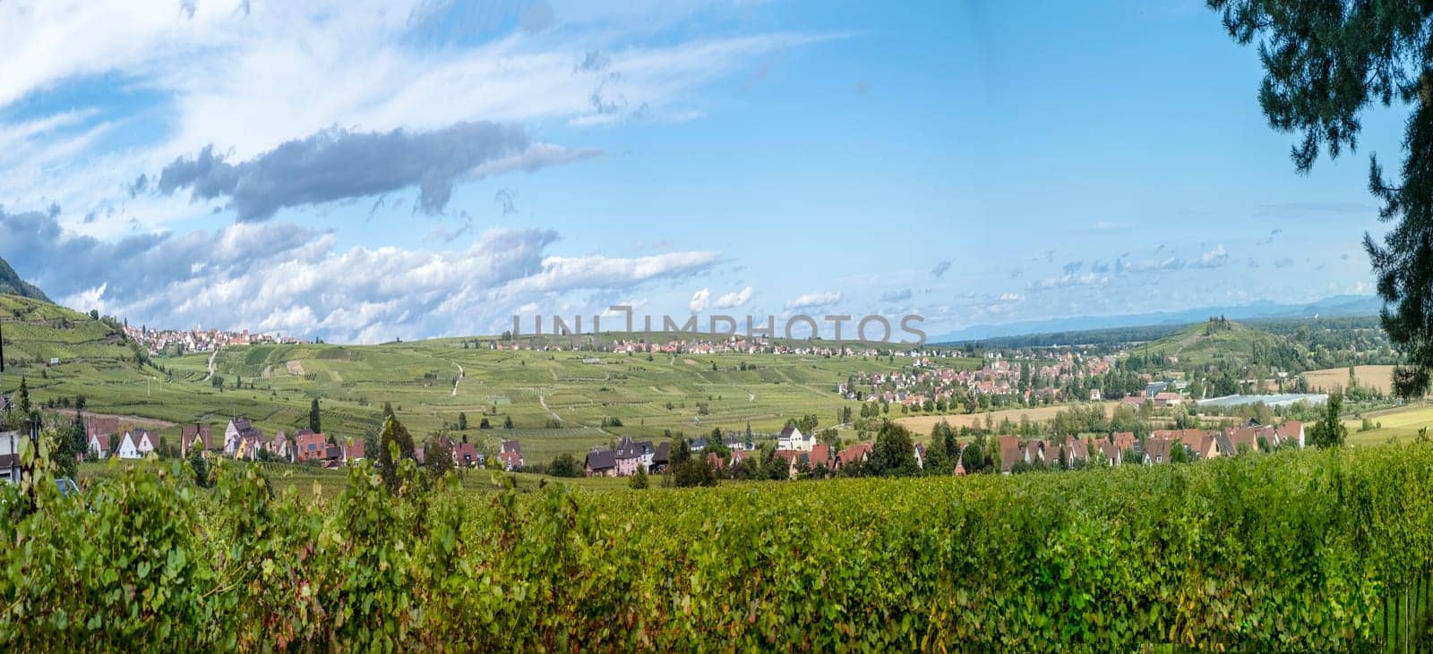 scenic view from notre dame du Schauenberg to the Alsace region and village Pfaffenheim, France.