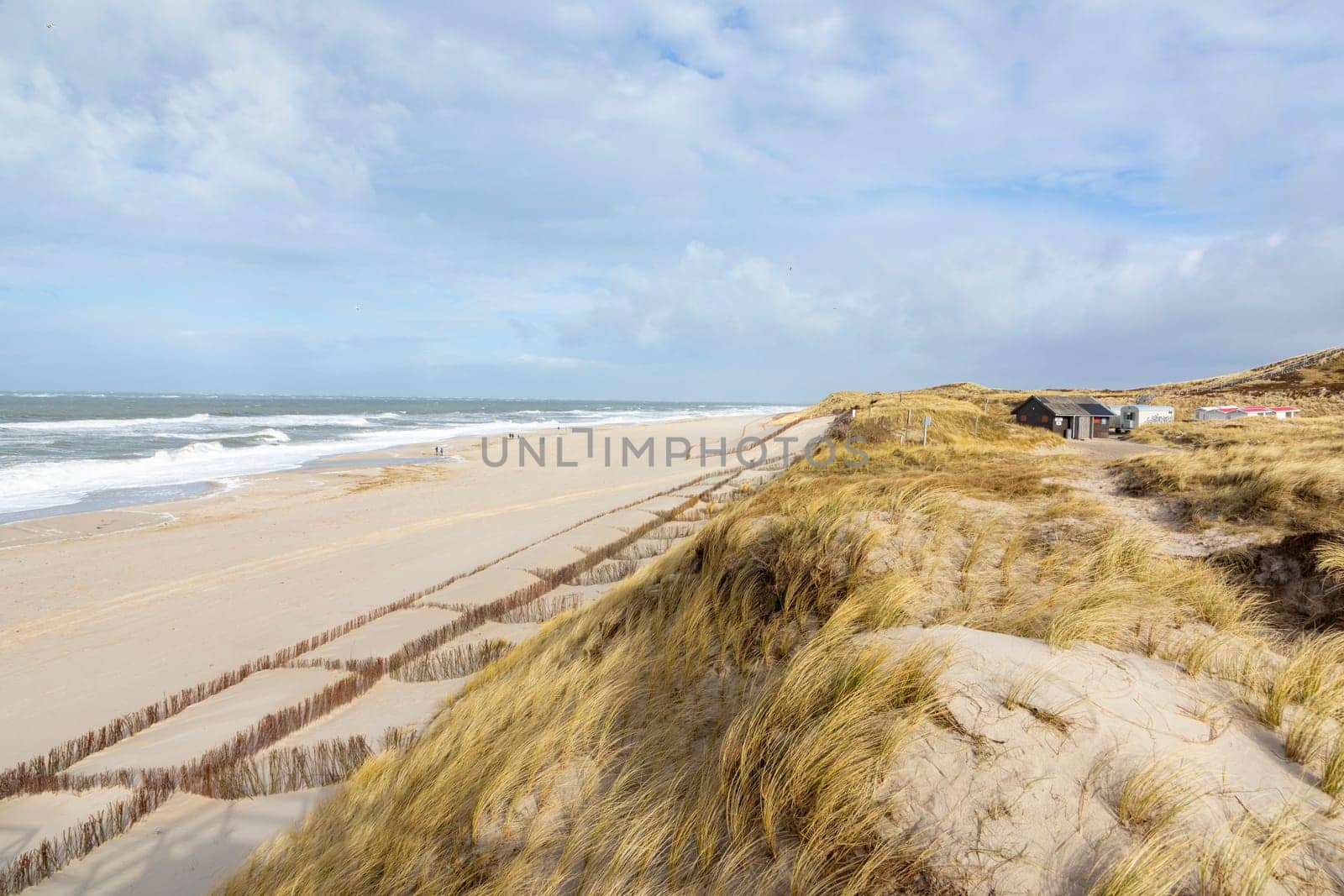 dune landscape at the west beach in List a t the island of Sylt in Germany with north sea view at low tide