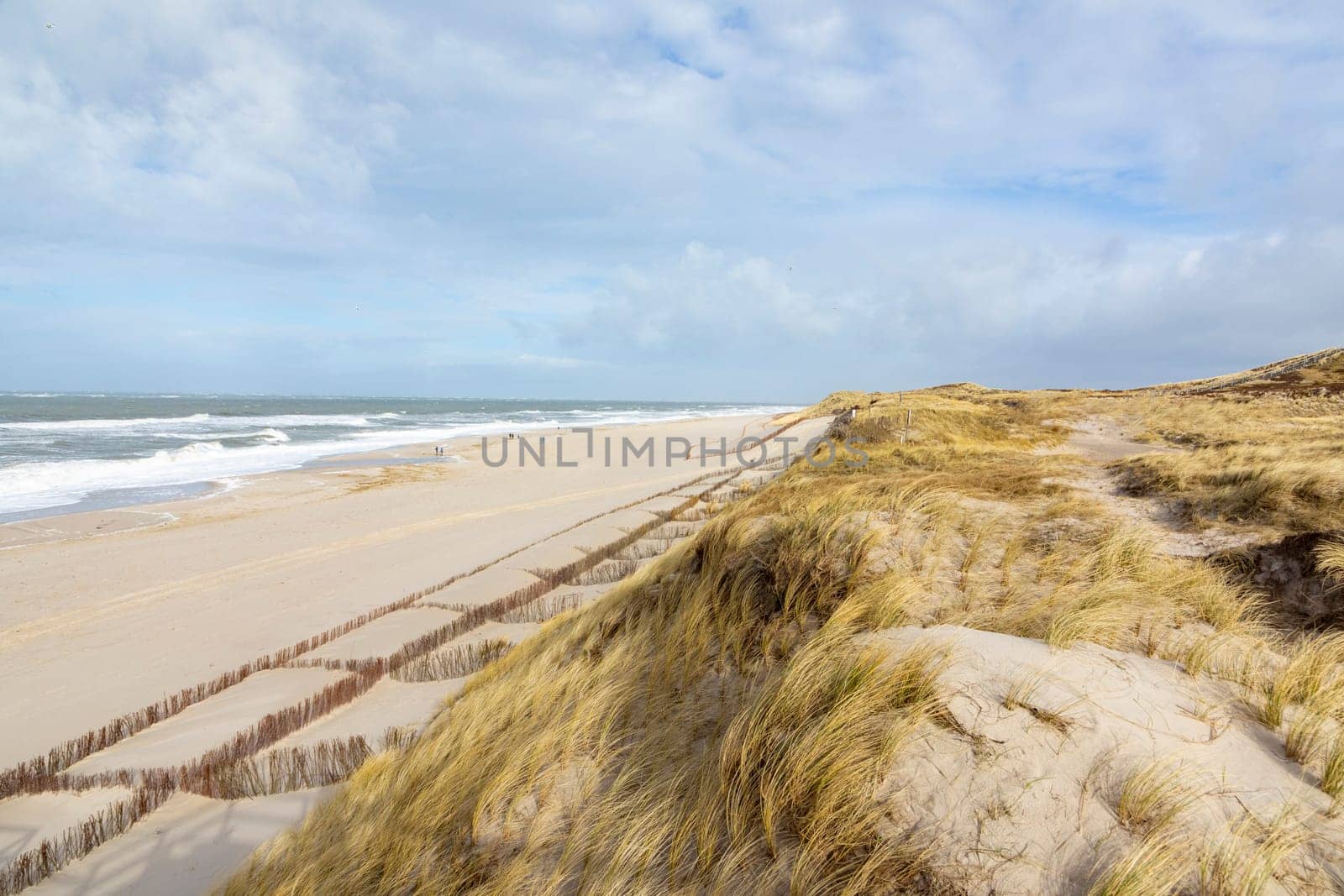 dune landscape at the west beach in List a t the island of Sylt in Germany with north sea view at low tide