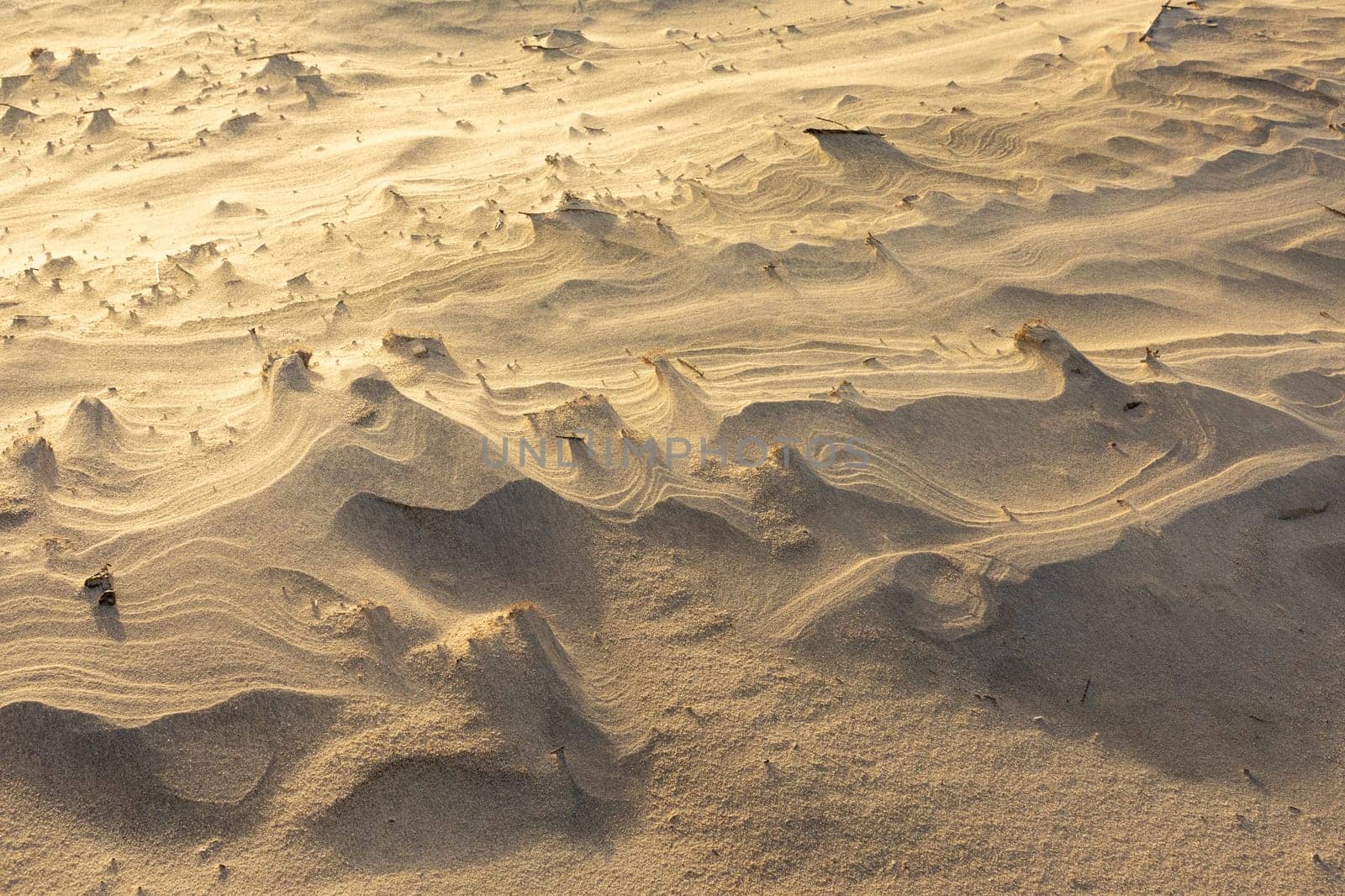 scenic detail of sandy beach at the island of Sylt