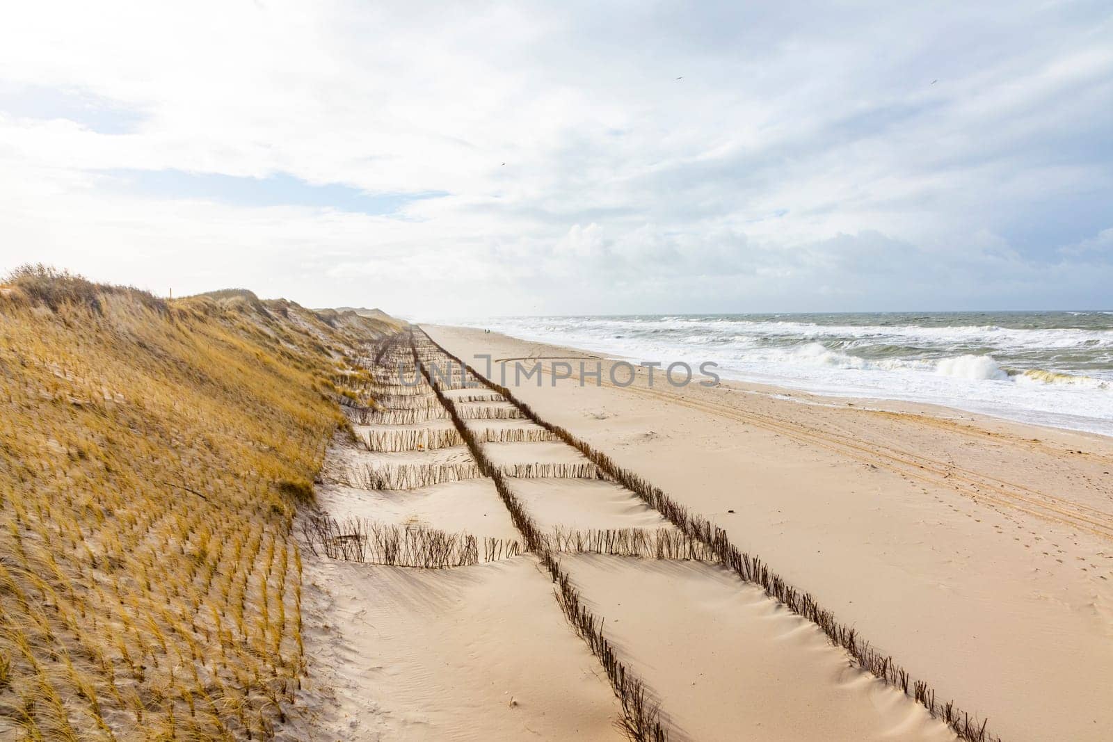 dune landscape at the west beach in List a t the island of Sylt in Germany with north sea view at low tide