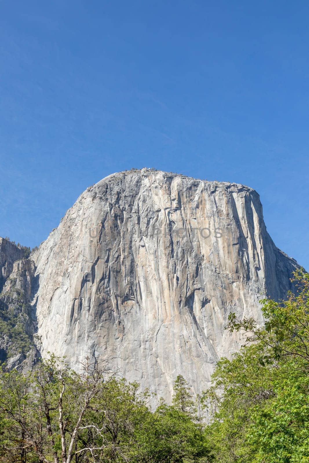 el capitan rock in Yosemite valley, USA
