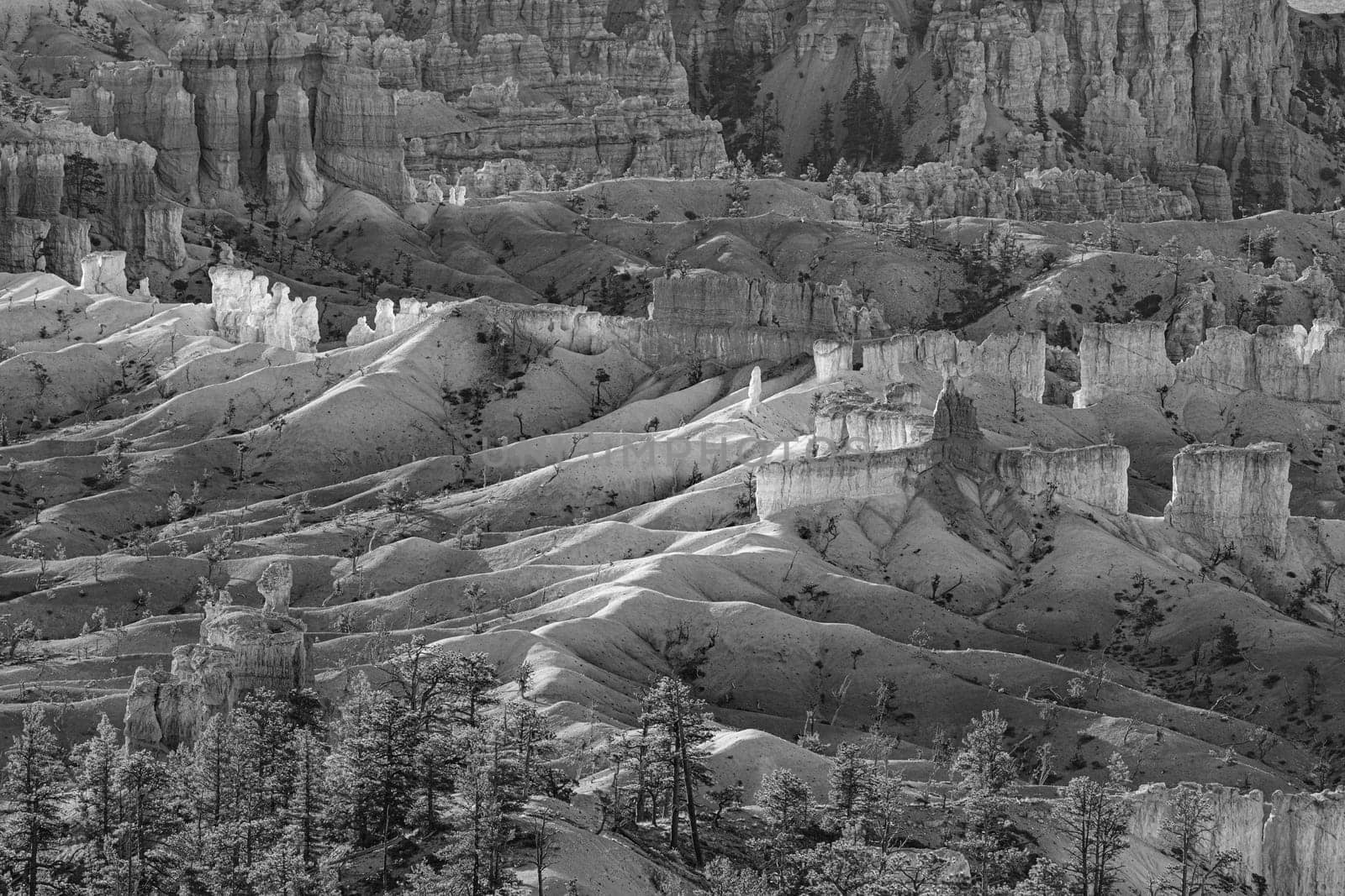 scenic view to the hoodoos in the Bryce Canyon national Park, Utah, USA