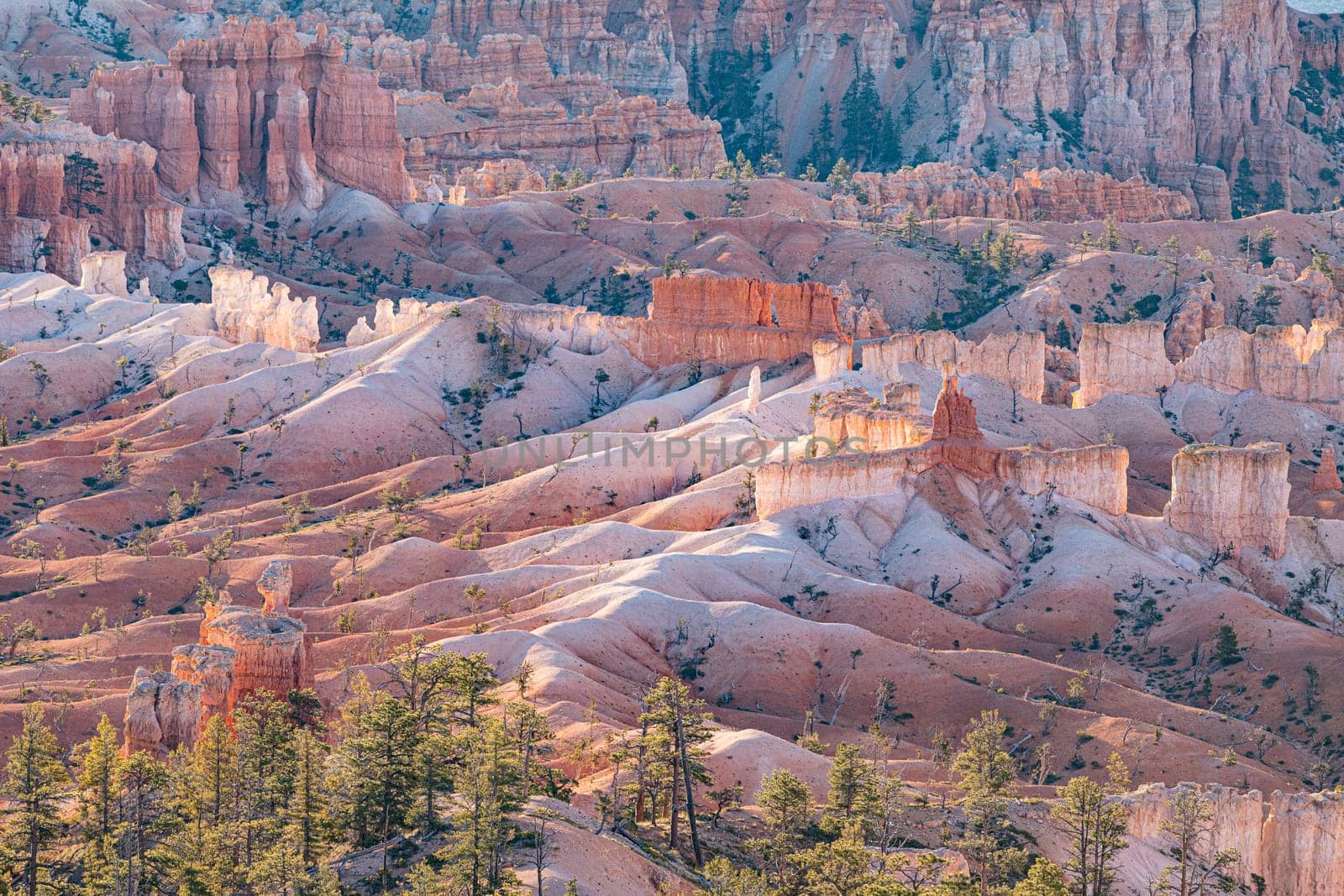scenic view to the hoodoos in the Bryce Canyon national Park, Utah, USA