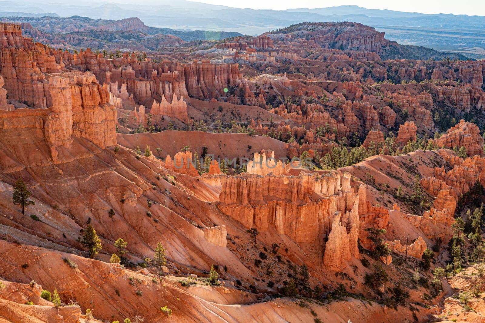 scenic view to the hoodoos in the Bryce Canyon national Park, Utah, USA