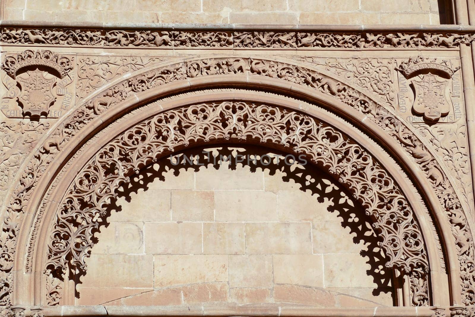 Scenic view of the details on the walls of Salamanca Cathedral in Spain
