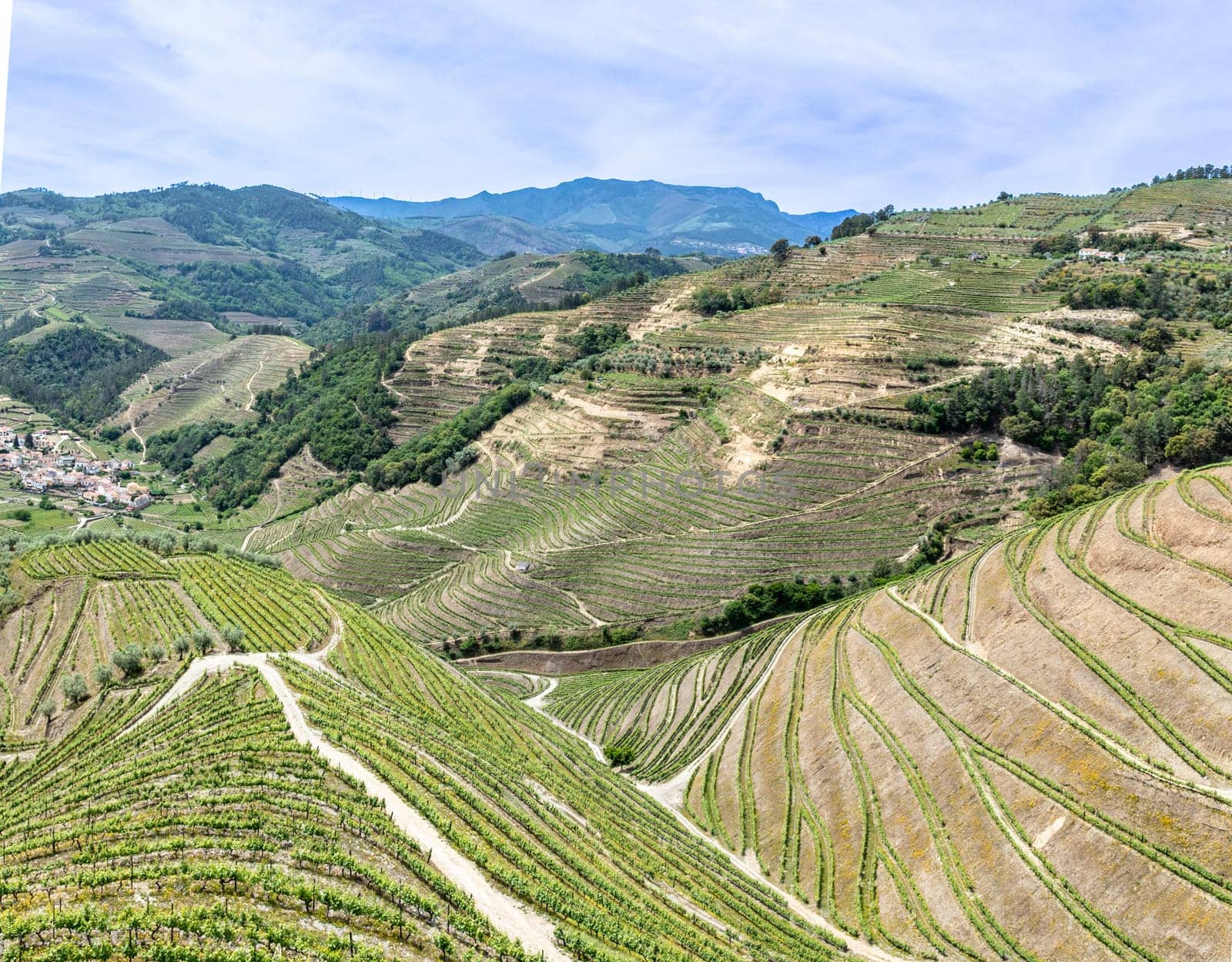 in northern Portugal near Braga small vineyards in terrace organisation cover the area in the landscape,Portugal