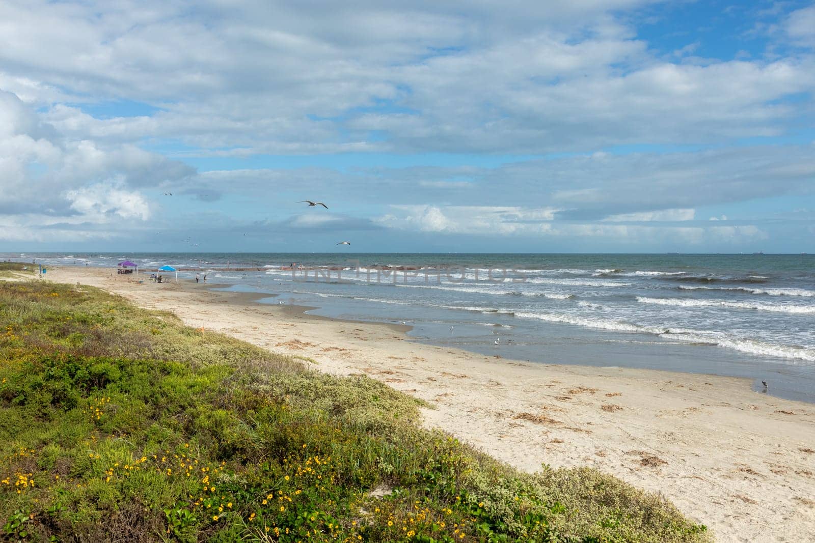 people enjoy the beautiful sandy beach at the gulf of Mexico at the island of Galveston with dramatic beautiful sky in Texas, USA.