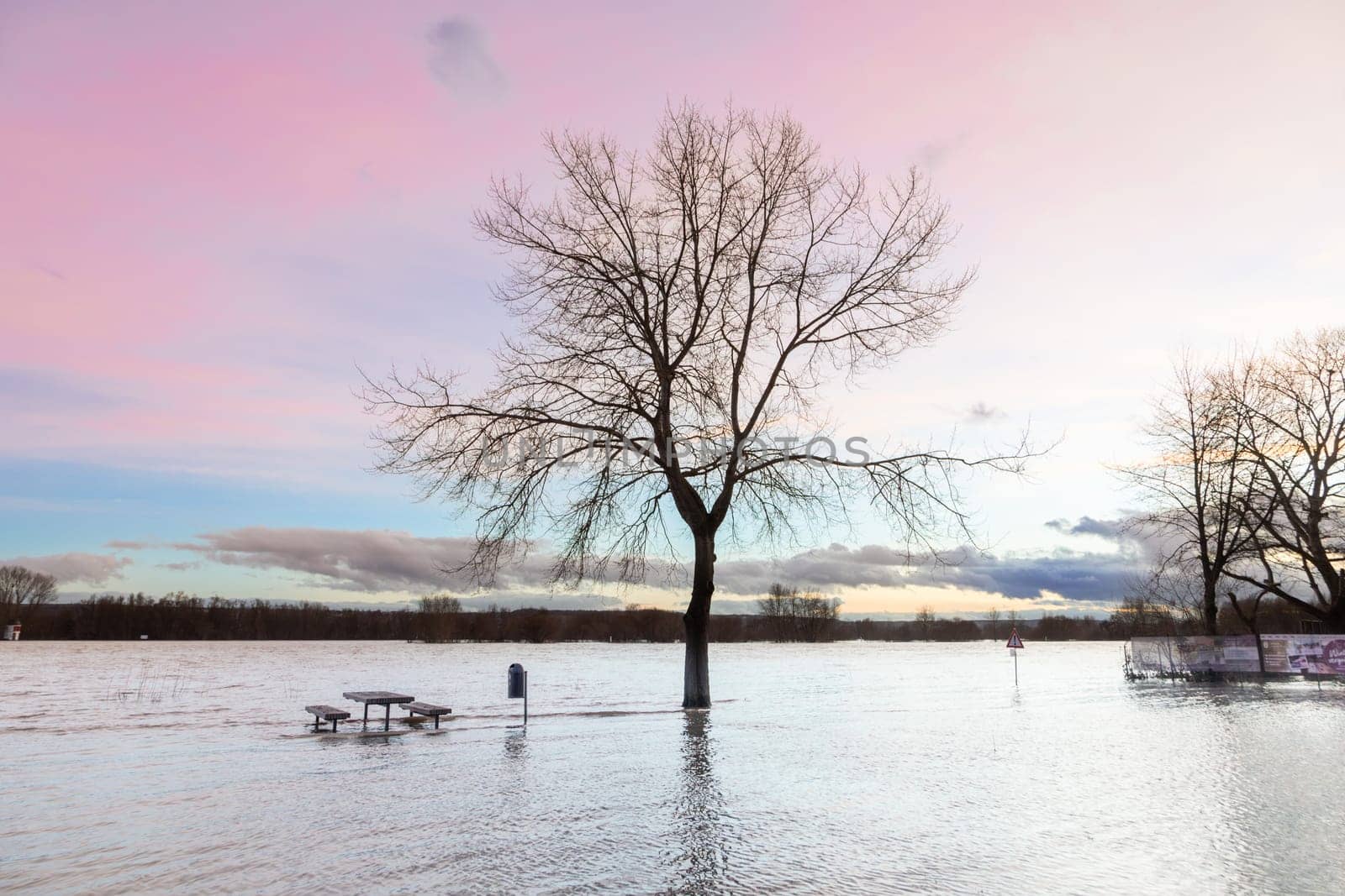 flooded bench at river Rhine in Eltville, Hesse, Germany in sunset mood