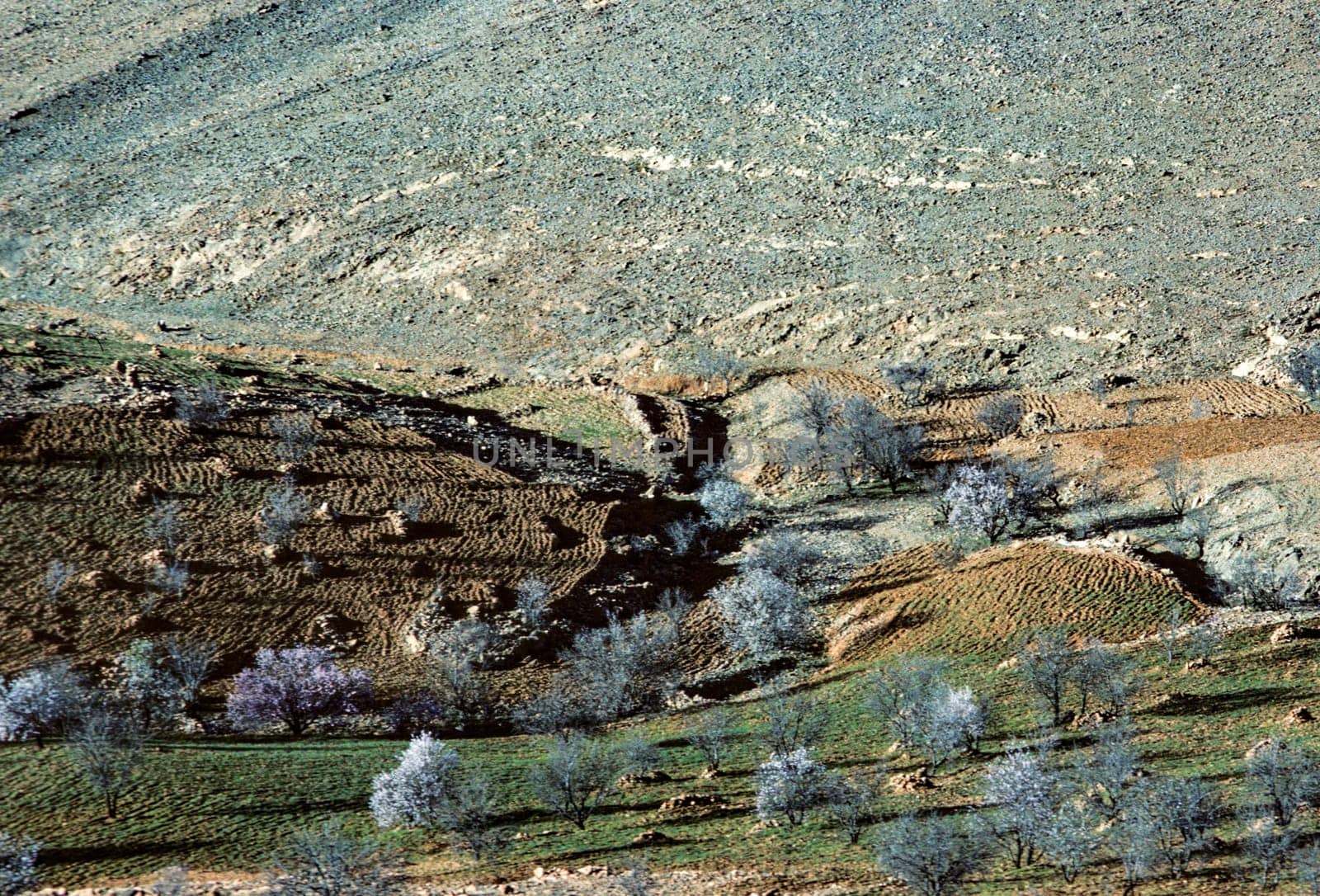 rural landscape in sunset in the moroccan Atlas mountain region, Morocco