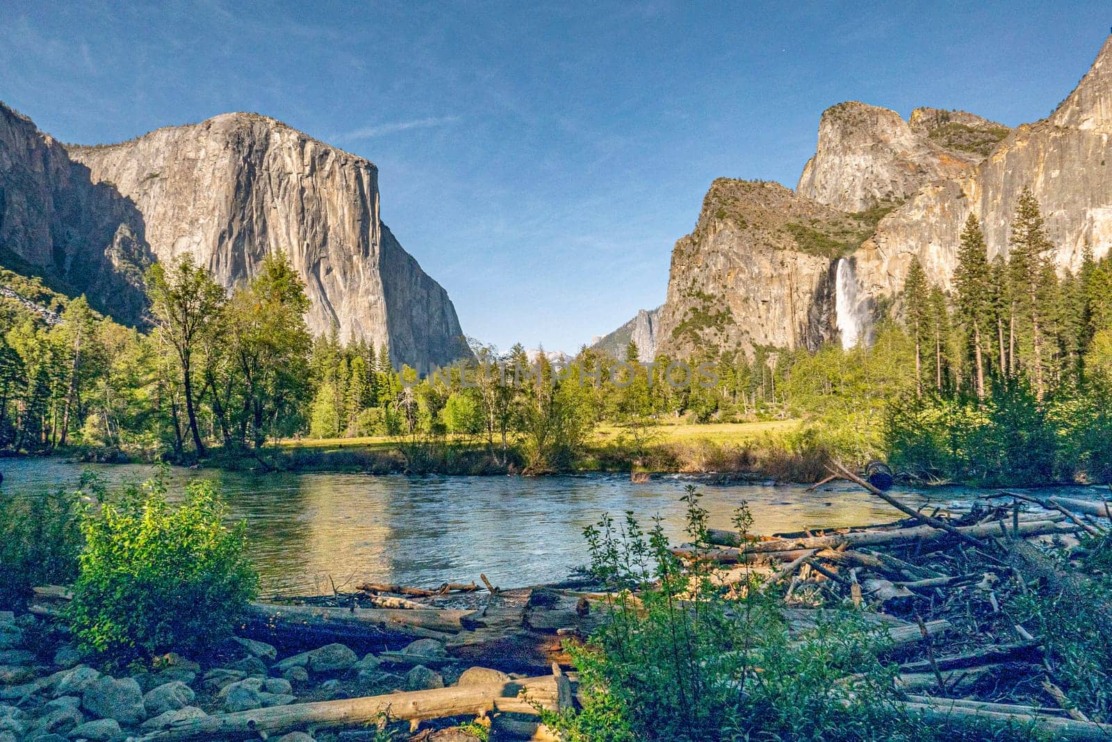 merced river with famous rock el Captain in Yosemite valley on a summer day