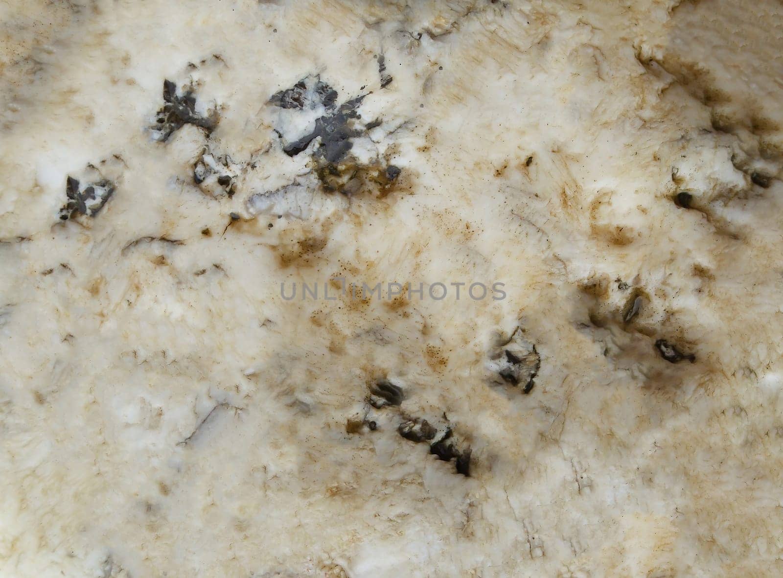A white stone with a rough texture and indentations on the surface.Texture or background