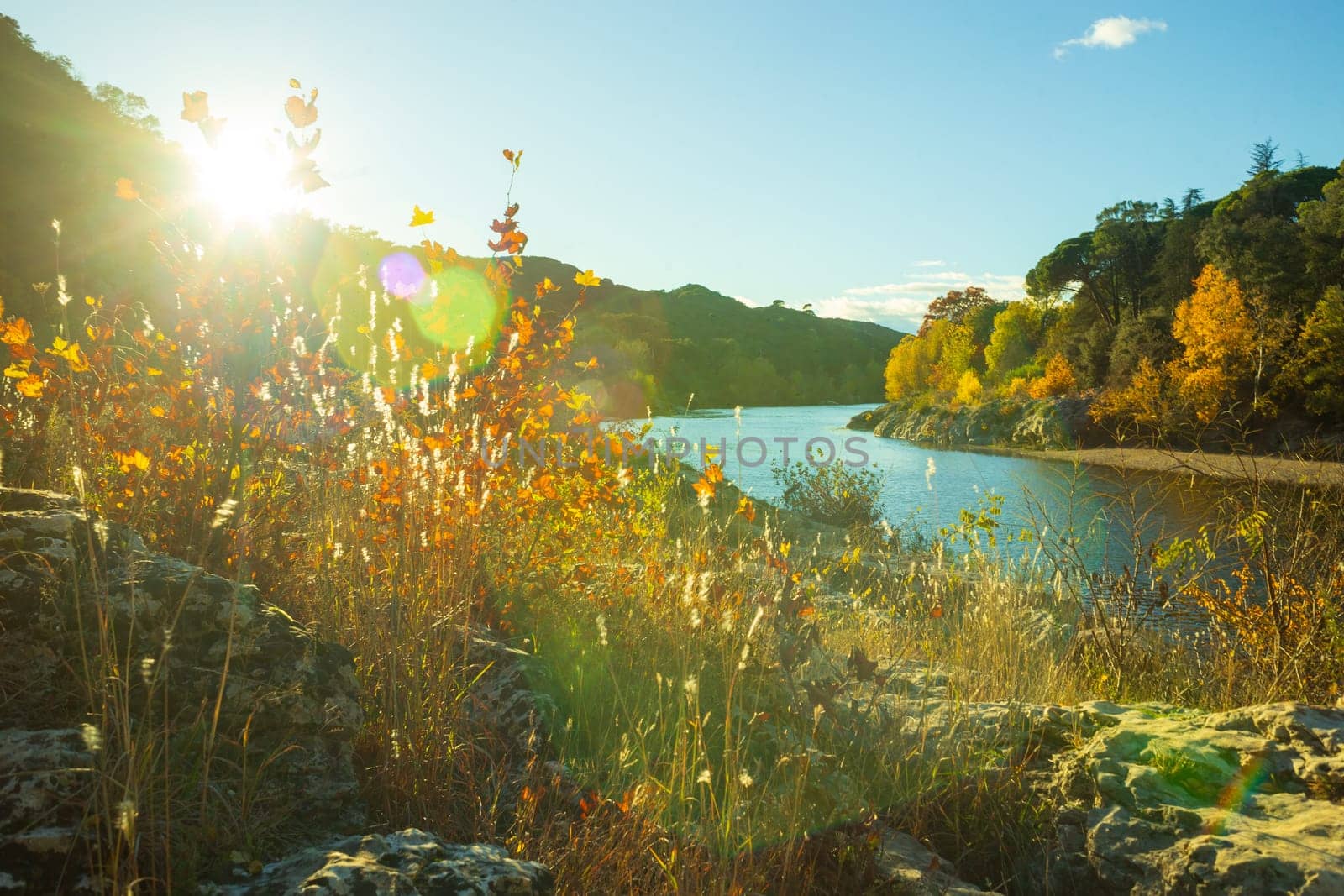 Autumn landscape with colorful fall foliage against the light. Creative photography taken near Gardon river, Gard, France