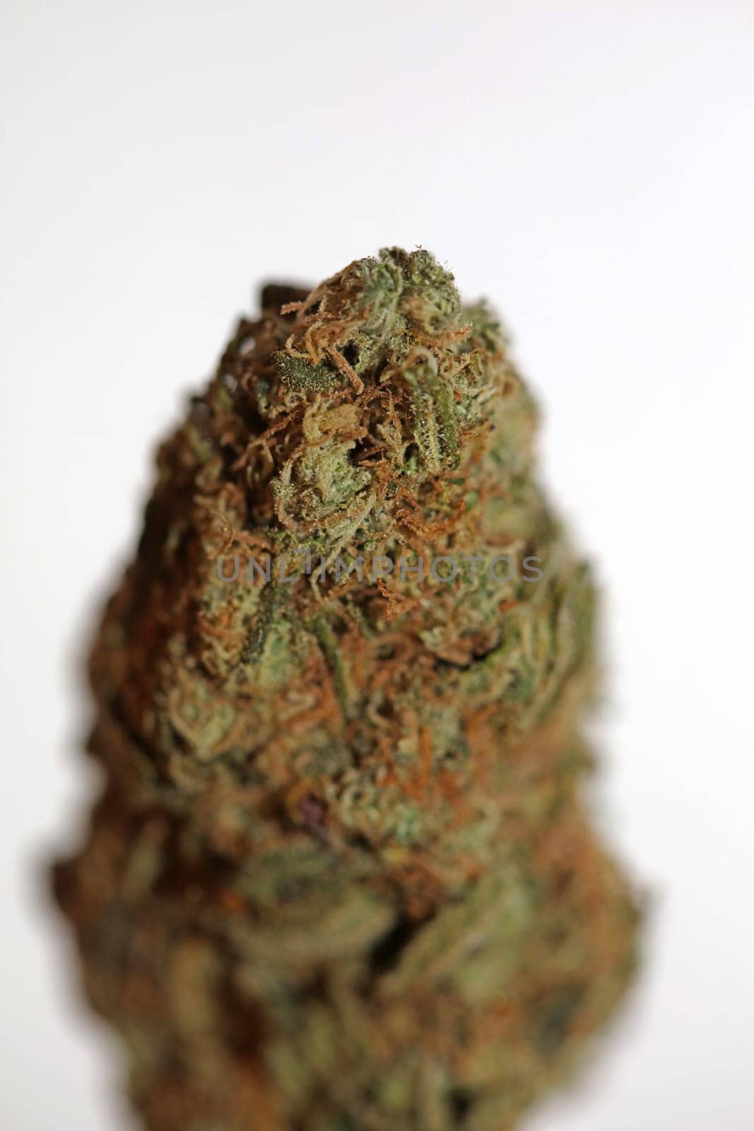 Cannabis bud strawberry haze close up background focus stack high quality prints high quality cannabis legalization in netherlands 2023 wann ist Kiffen legalization
