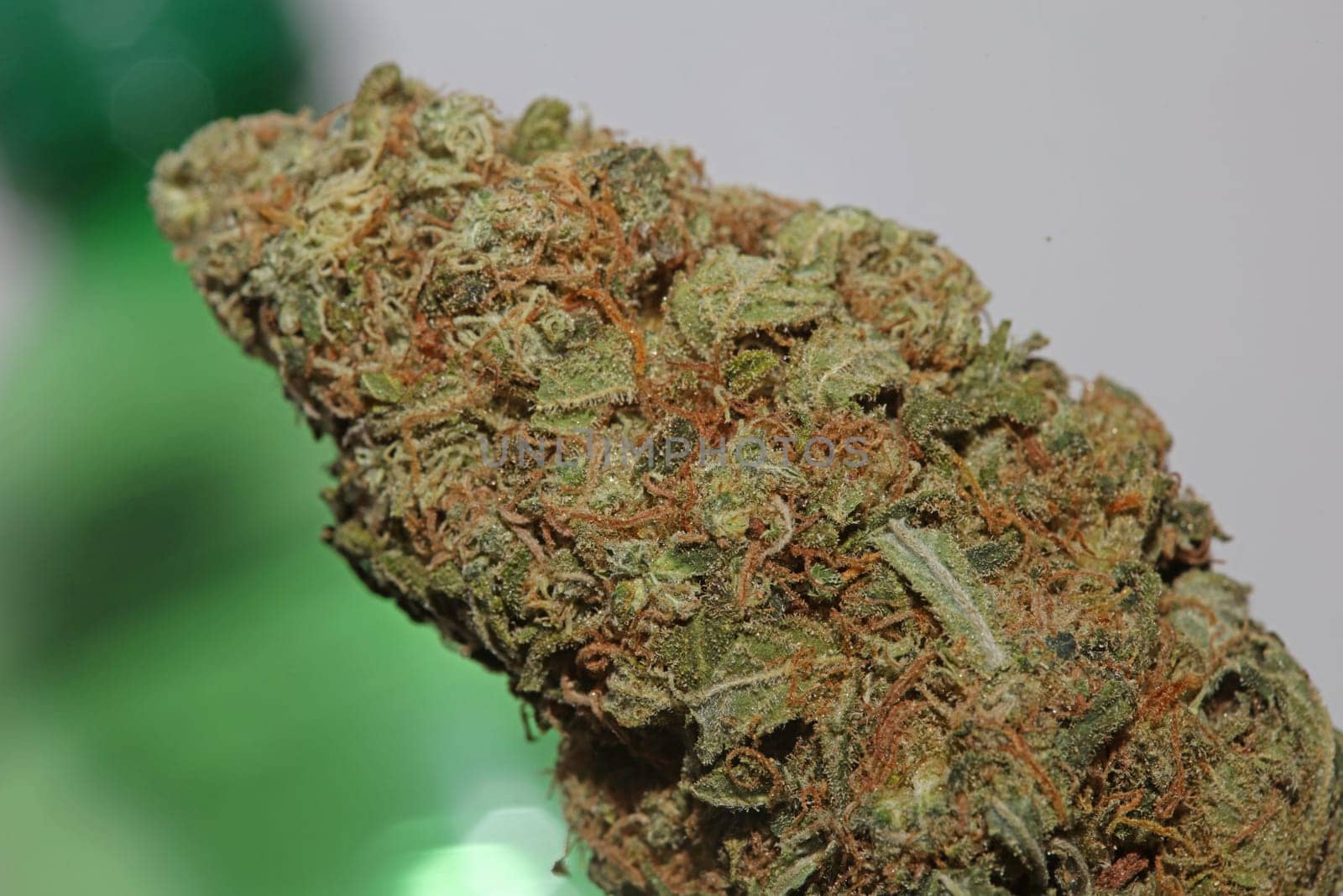 Cannabis bud strawberry haze close up background focus stack high quality prints high quality cannabis legalization in netherlands 2023 wann ist Kiffen legalization