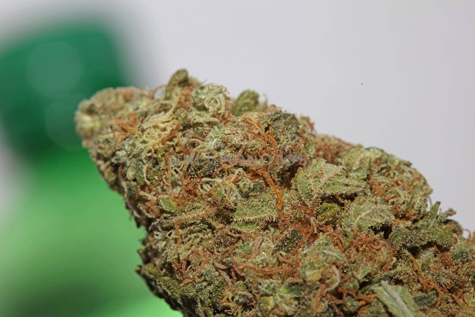 Cannabis bud strawberry haze close up background focus stack high quality prints high quality cannabis legalization in netherlands 2023 wann ist Kiffen legalization