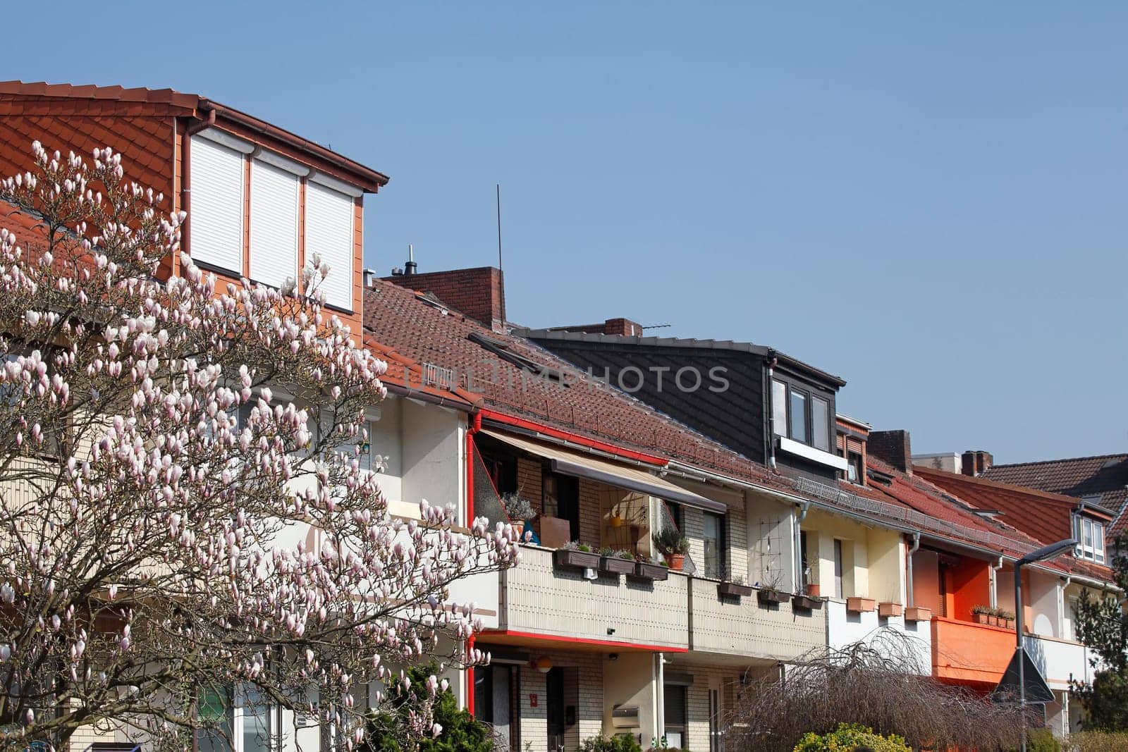 Residential building in spring with magnolia blossom, terraced houses, apartment buildings, Bremen, Germany