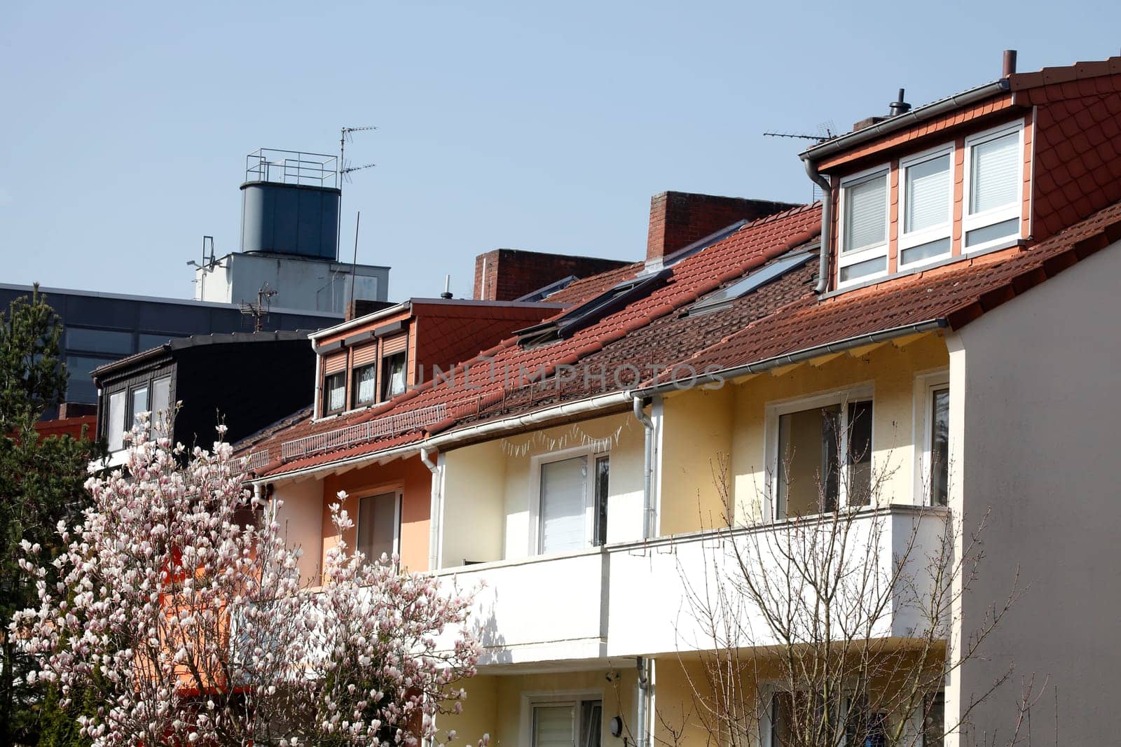 Residential building in spring with magnolia blossom, terraced houses, apartment buildings, Bremen, Germany