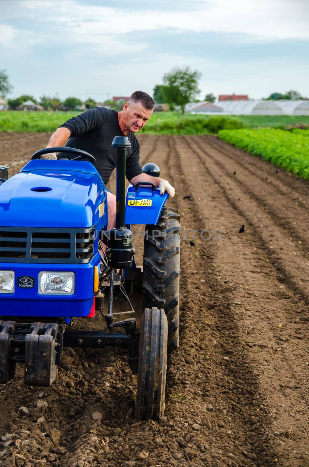 Kherson oblast, Ukraine - May 29, 2021: Senior farmer is working on a tractor. Seasonal worker. Recruiting workers with skills in driving agricultural machinery. Milling soil before cutting rows.