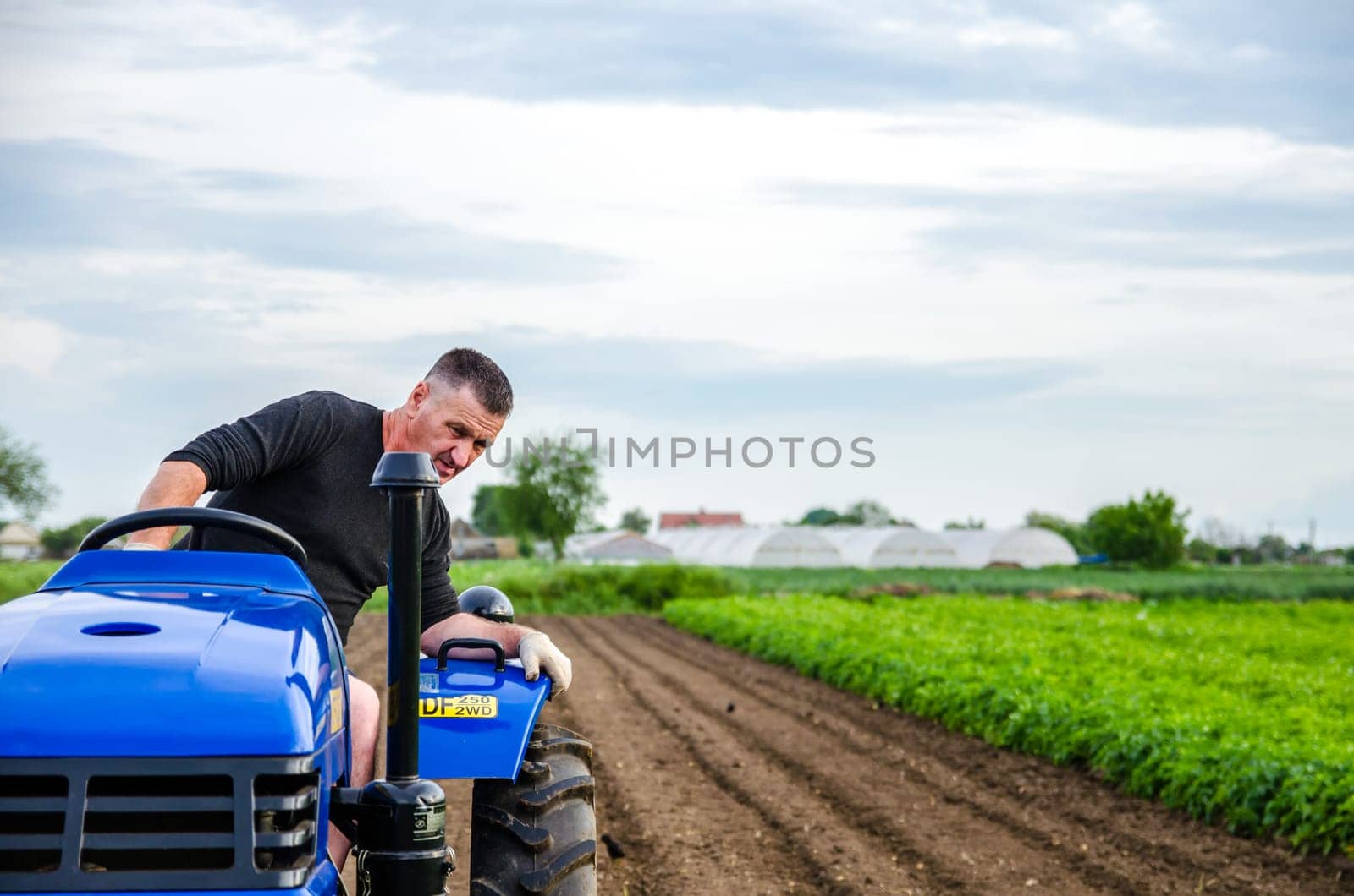Kherson oblast, Ukraine - May 29, 2021: An elderly farmer drives a tractor on a farm. Milling soil, loosening ground before cutting rows. Preparation of land for future planting new crop.