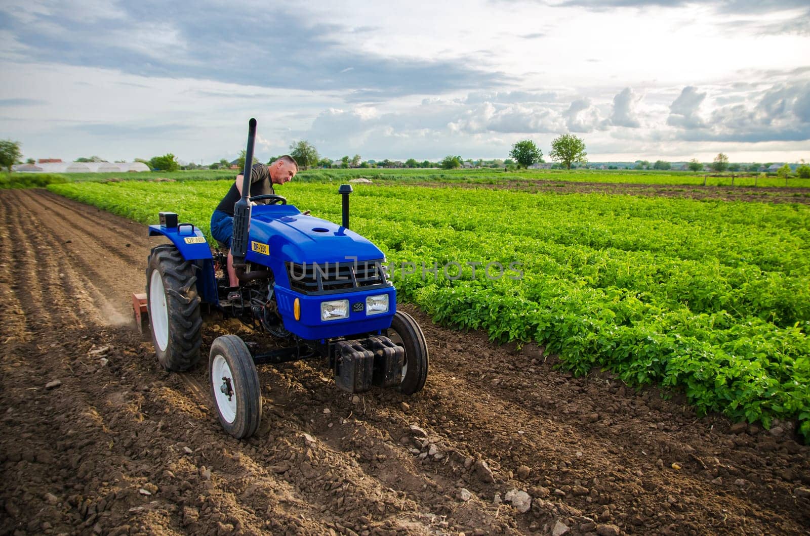 Kherson oblast, Ukraine - May 29, 2021: Senior farmer works in the field on a tractor. Seasonal worker. Milling soil before cutting rows. Recruiting workers with driving skills
