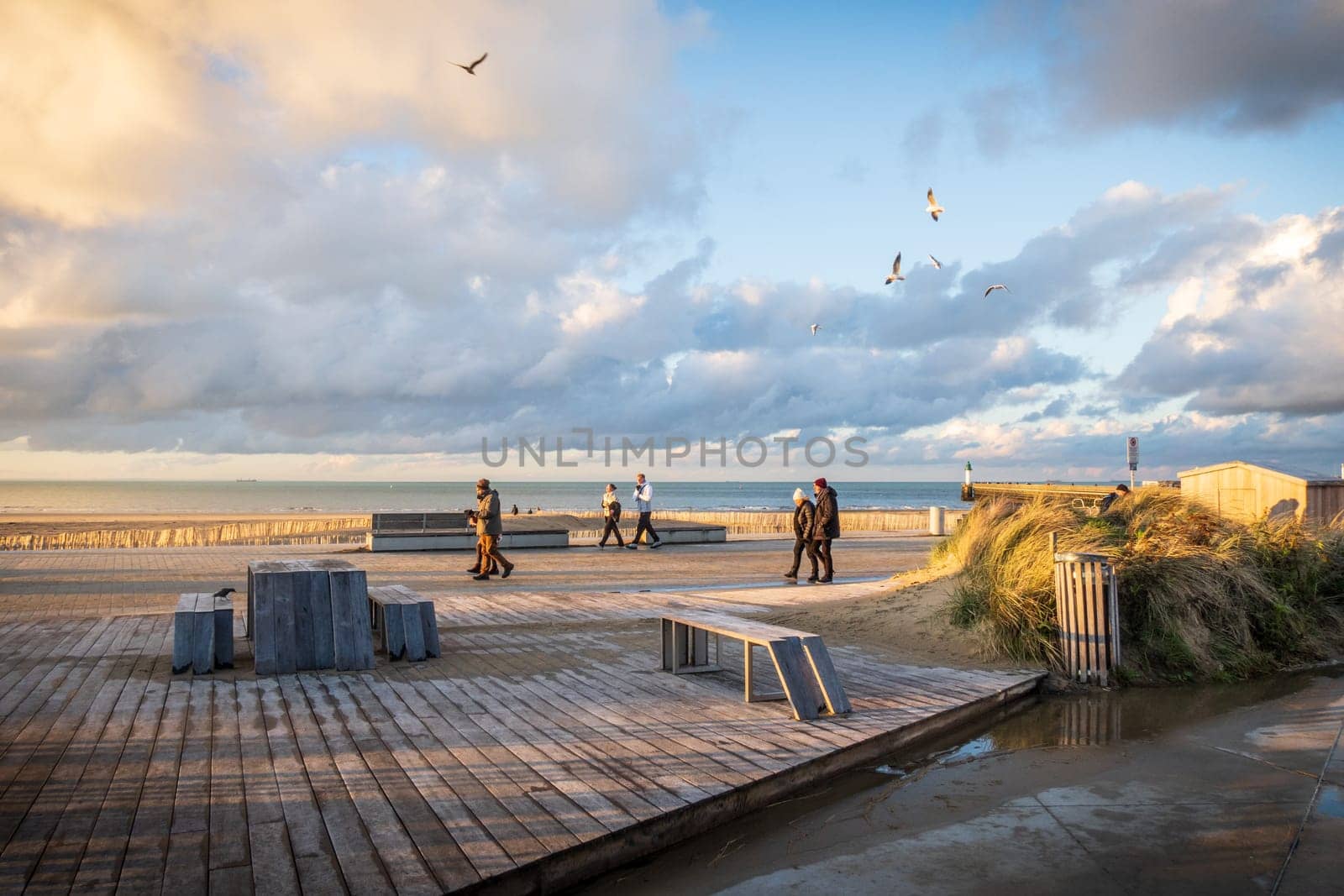 Calais, France - january 02 2023 : The port of Calais in winter, promenade of tourists flown over by seagulls. Photography taken in France