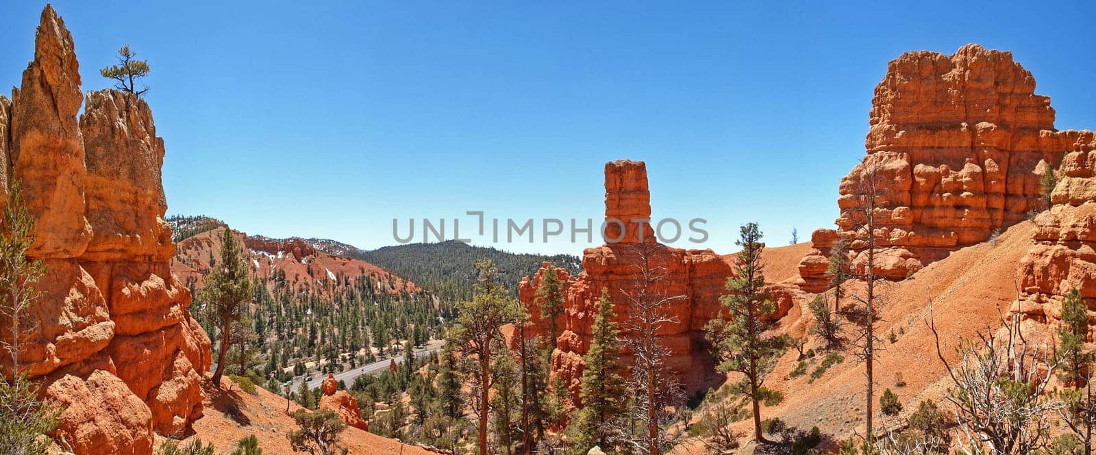 The Bryce Canyon National Park, Utah, United States