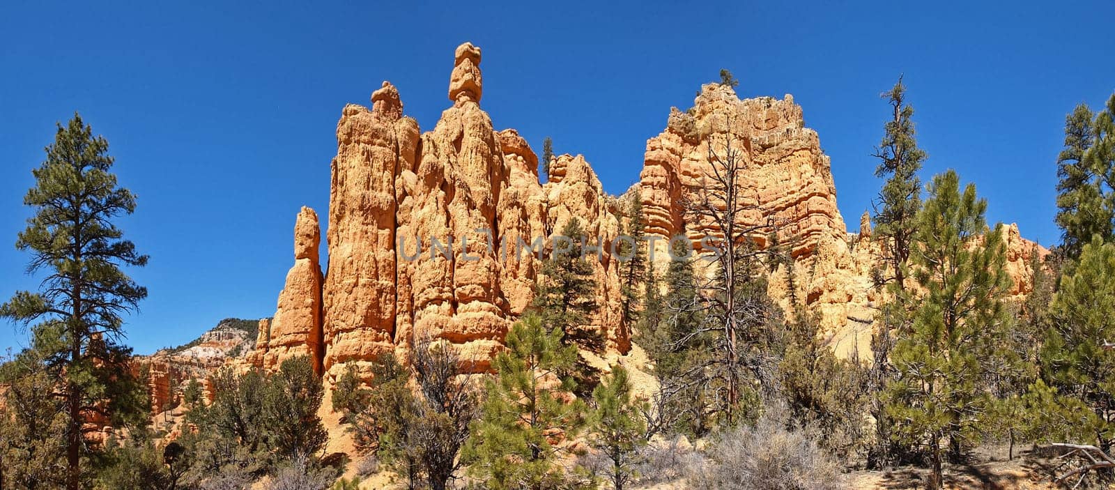 The Bryce Canyon National Park, Utah, United States