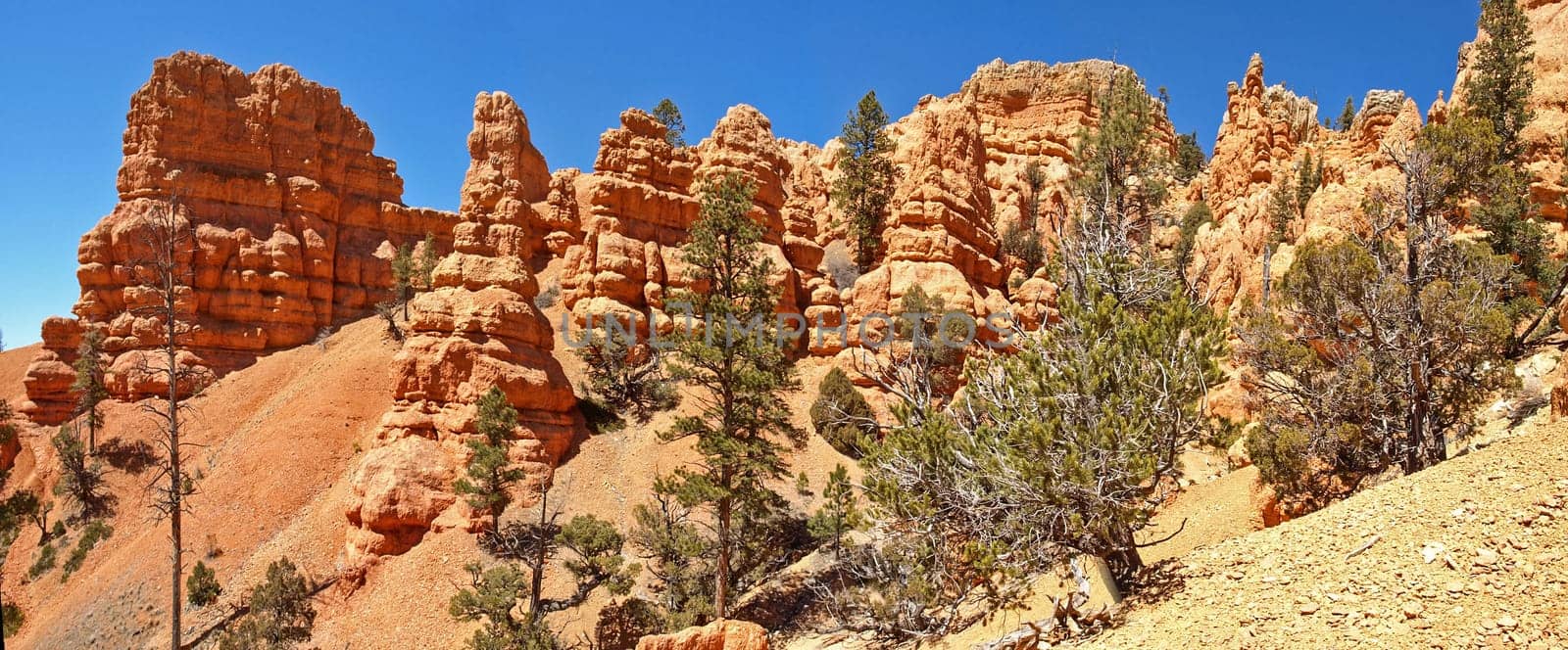 The Bryce Canyon National Park, Utah, United States