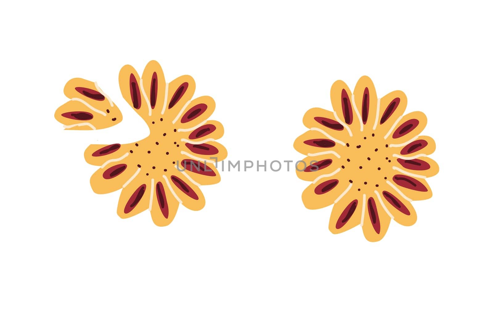 Hand drawn fruit and berry pie with filling in flower shape. Vector illustration isolated. Can used for celebration banner, label, greeting card.