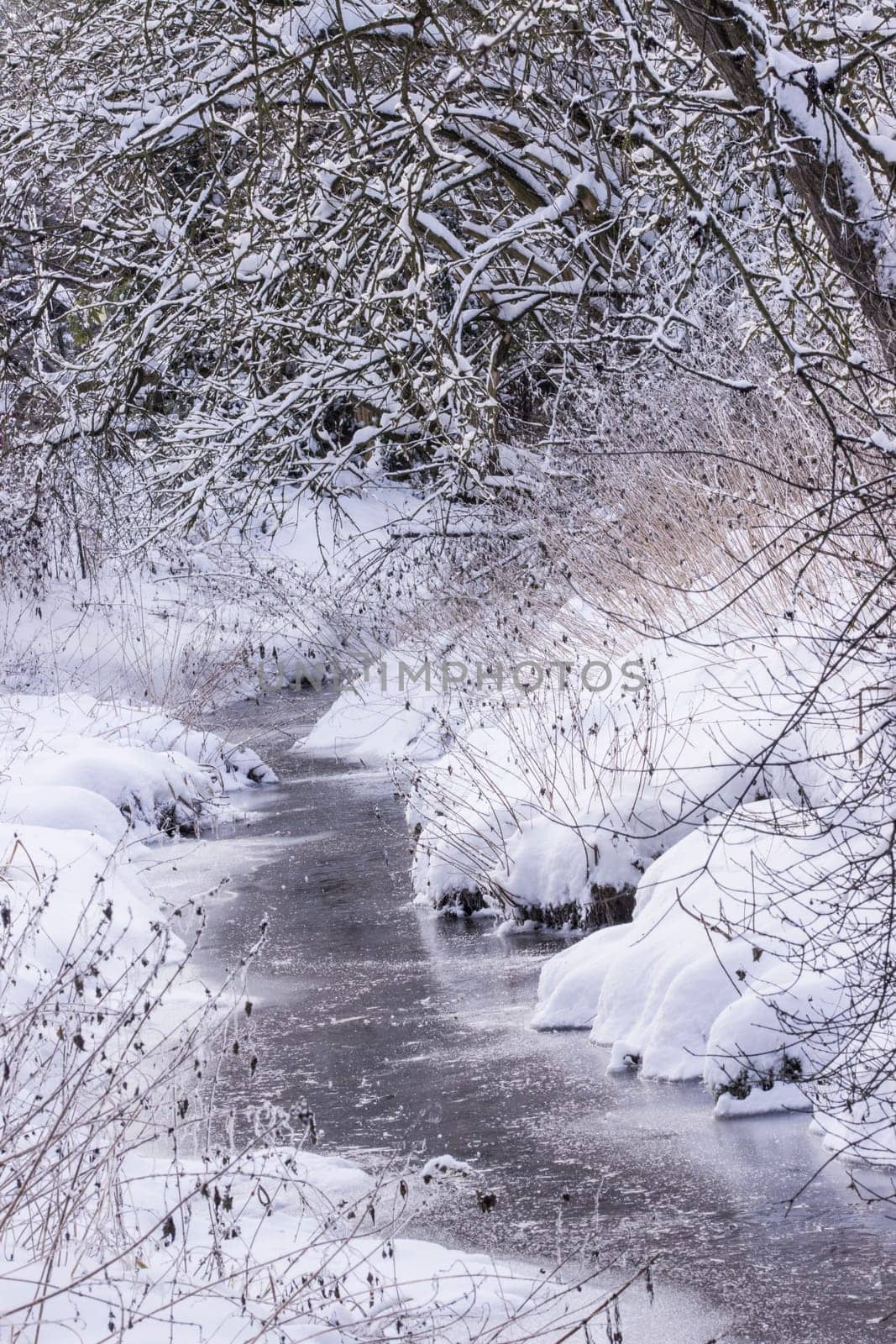 Winterlandschaft mit Bach, Nordrhein-Westfalen, Deutschland