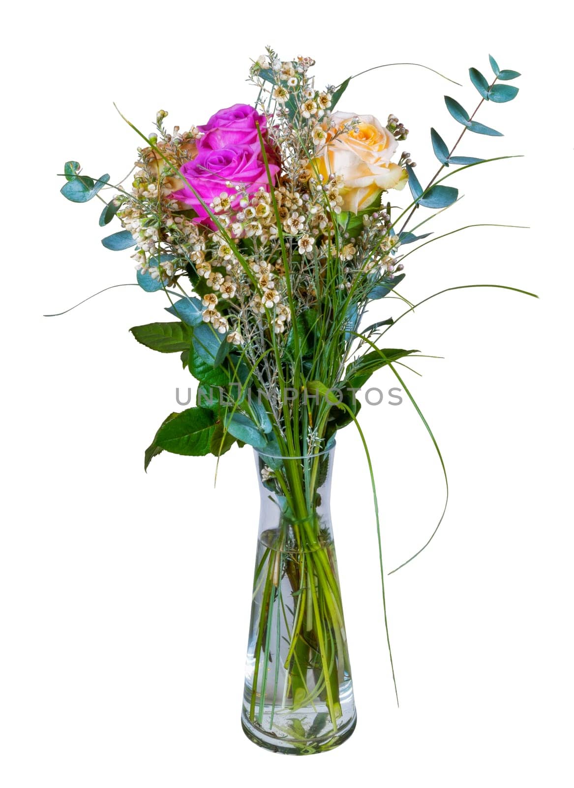 Closeup of an isolated flower arrangement in a glass vase