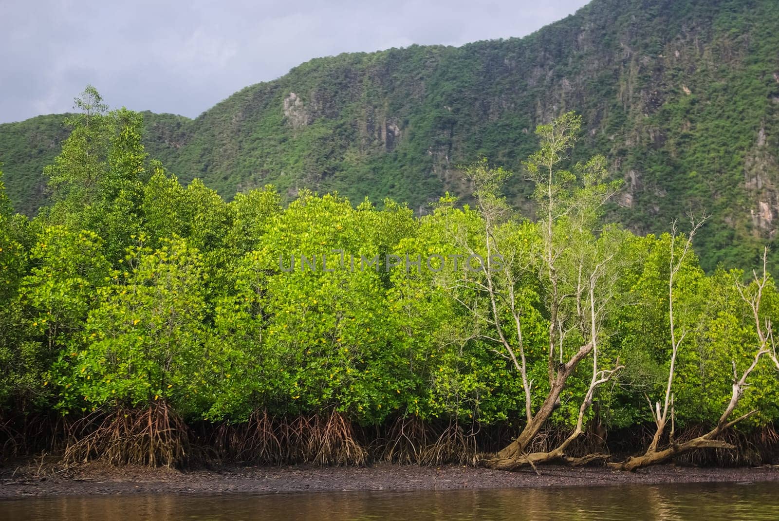 The nature of the coast of Thailand, cliffs near the sea, coastline and mountains.