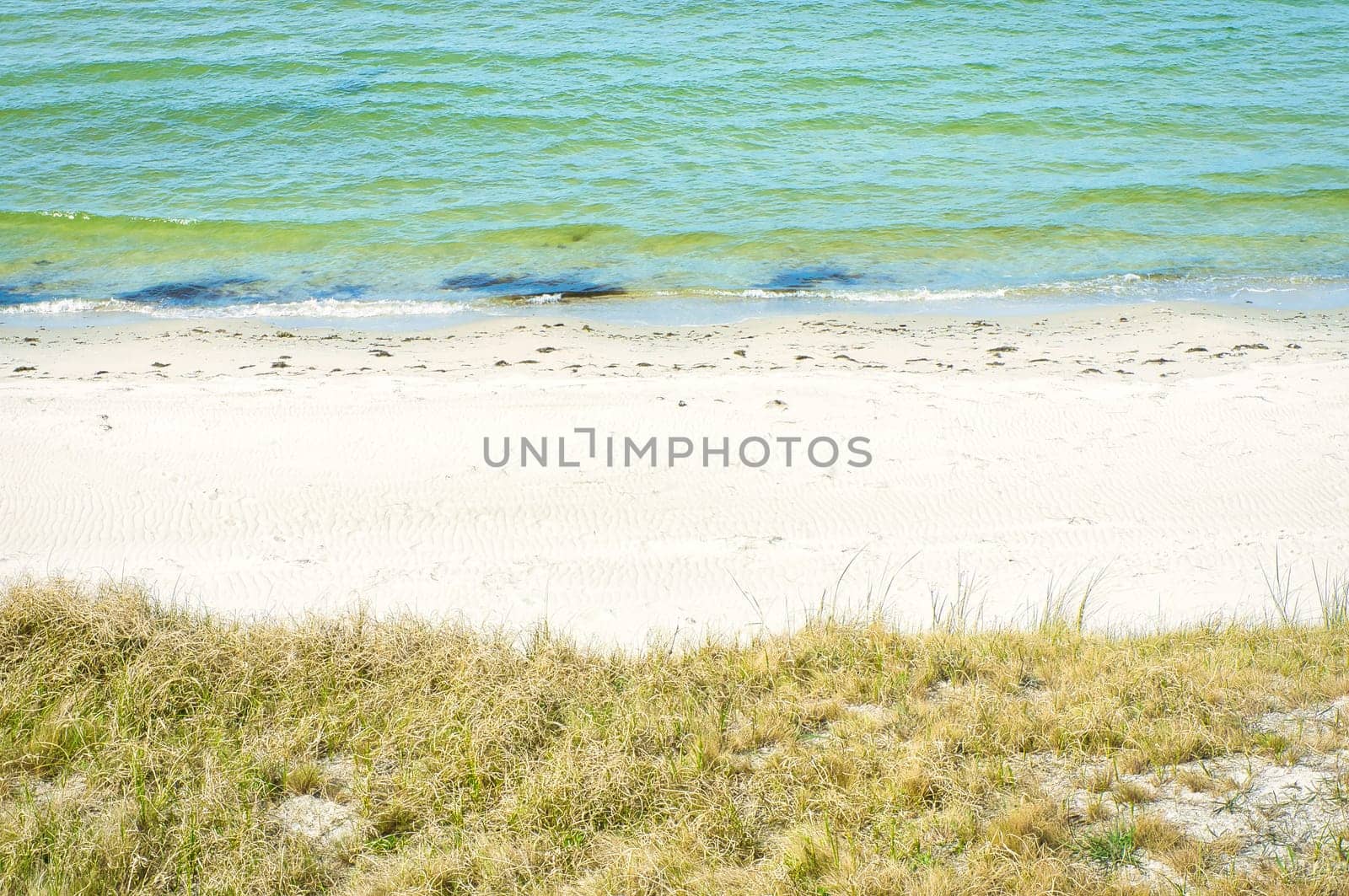On the beach at Zingst. Dunes with dune grass in front of white sand and the dry Baltic Sea. Landscape photograph