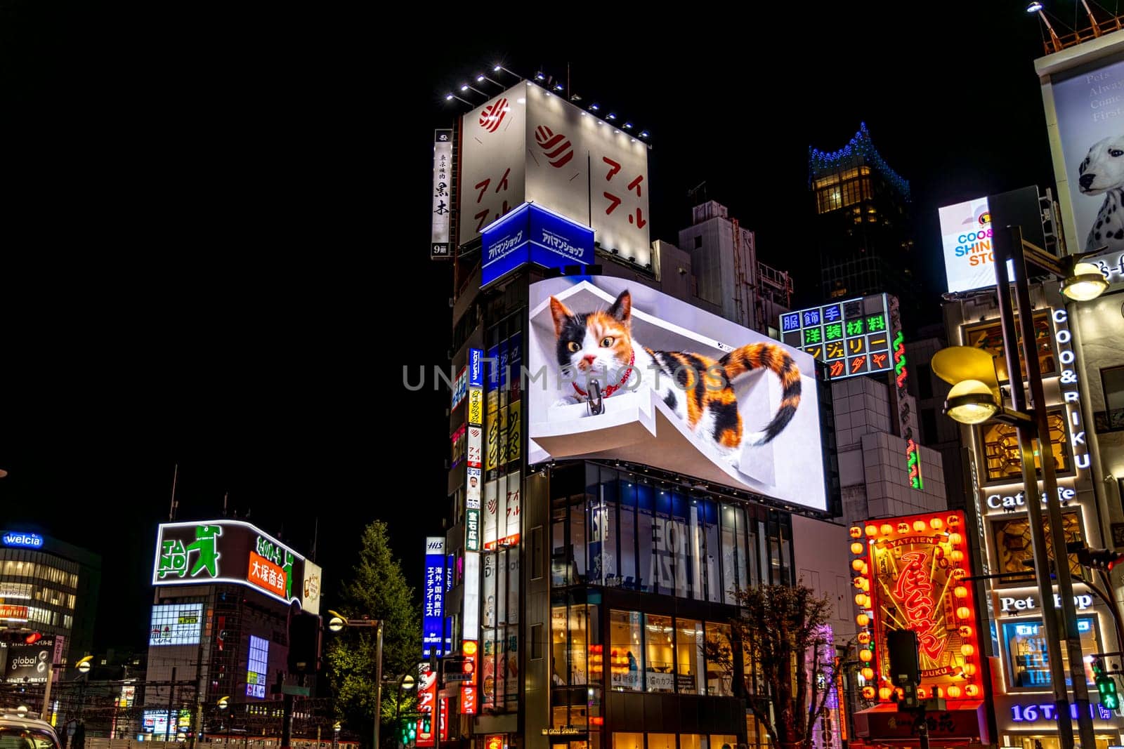 TOKYO/JAPAN - November 19 2023:Holographic cat in the Shinjuku district