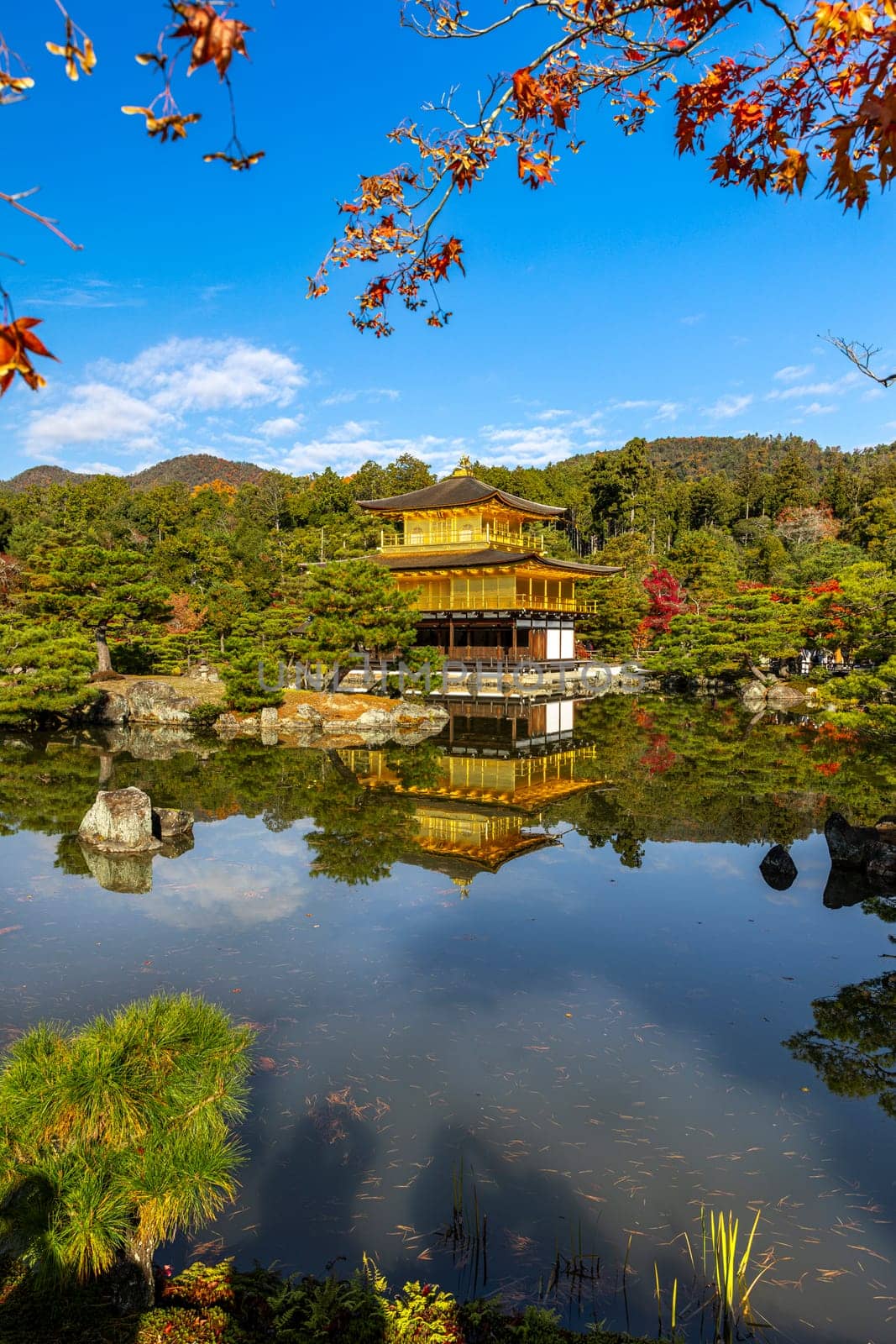 background of Kinkakuji temple in kyoto city