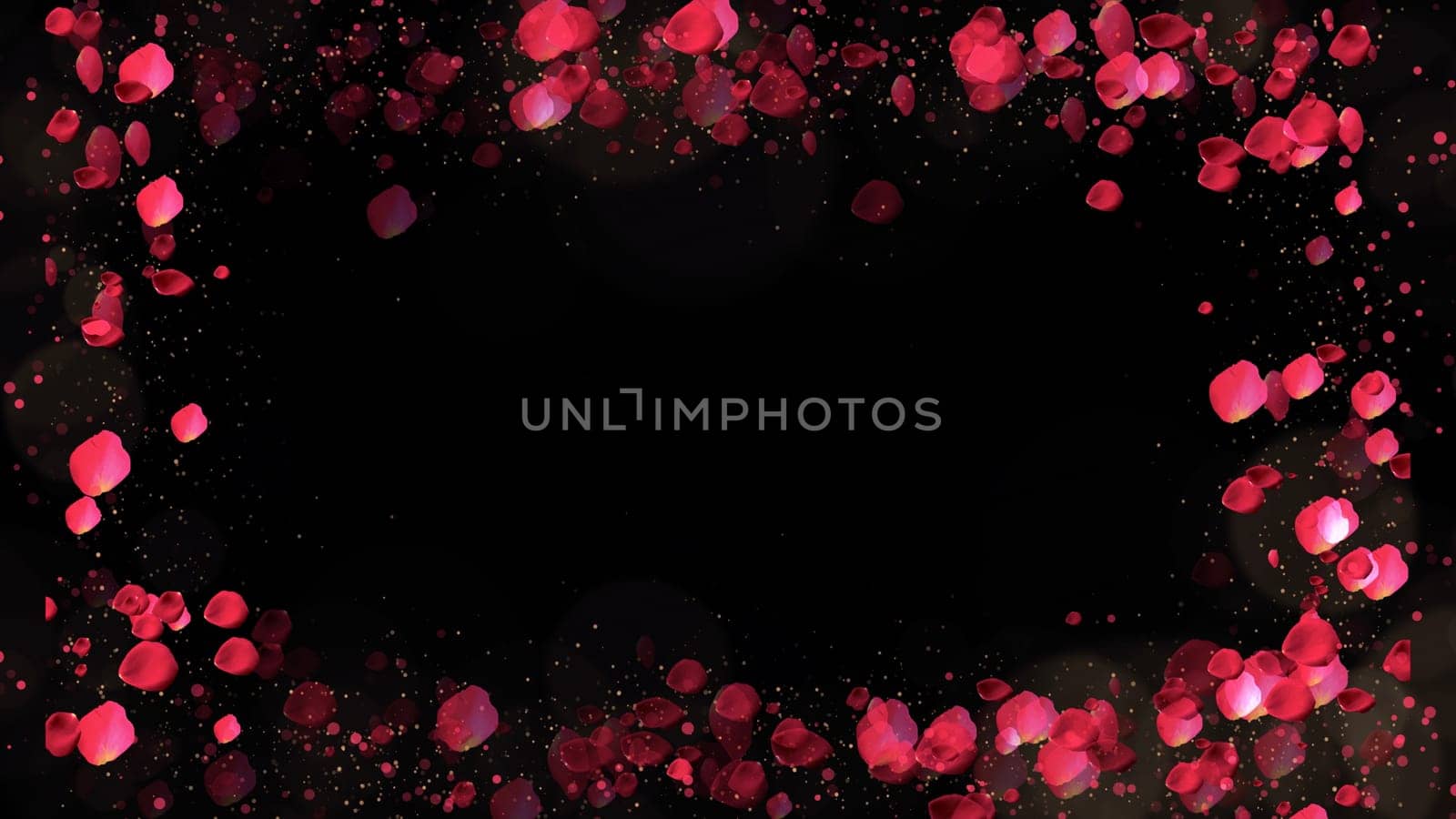 Rose petals frame with lights and particles on background. Valentines day, Mothers day, spring, summer, blossom background.