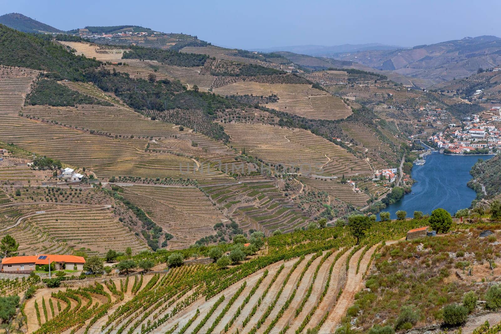 Landscape view of the beautiful douro river valley near Pinhao in Portugal
