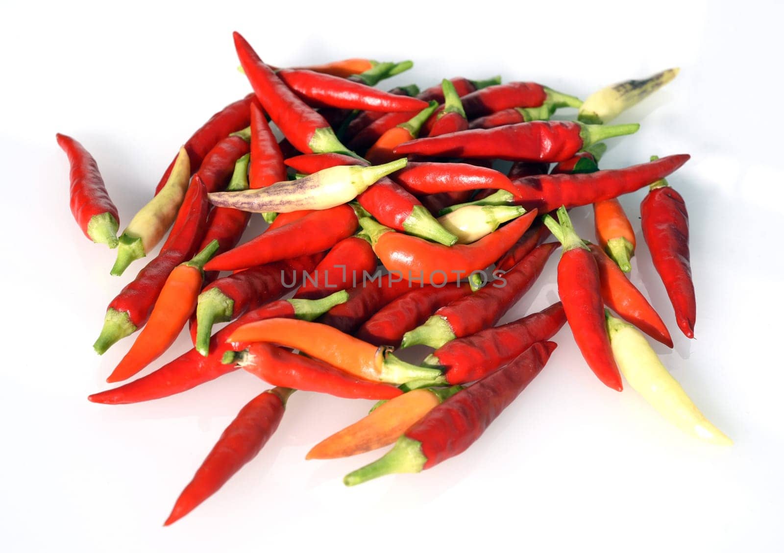 Chili,Capsicum is a spicy spice plant. Chili,Capsicum is a hot spice plant.