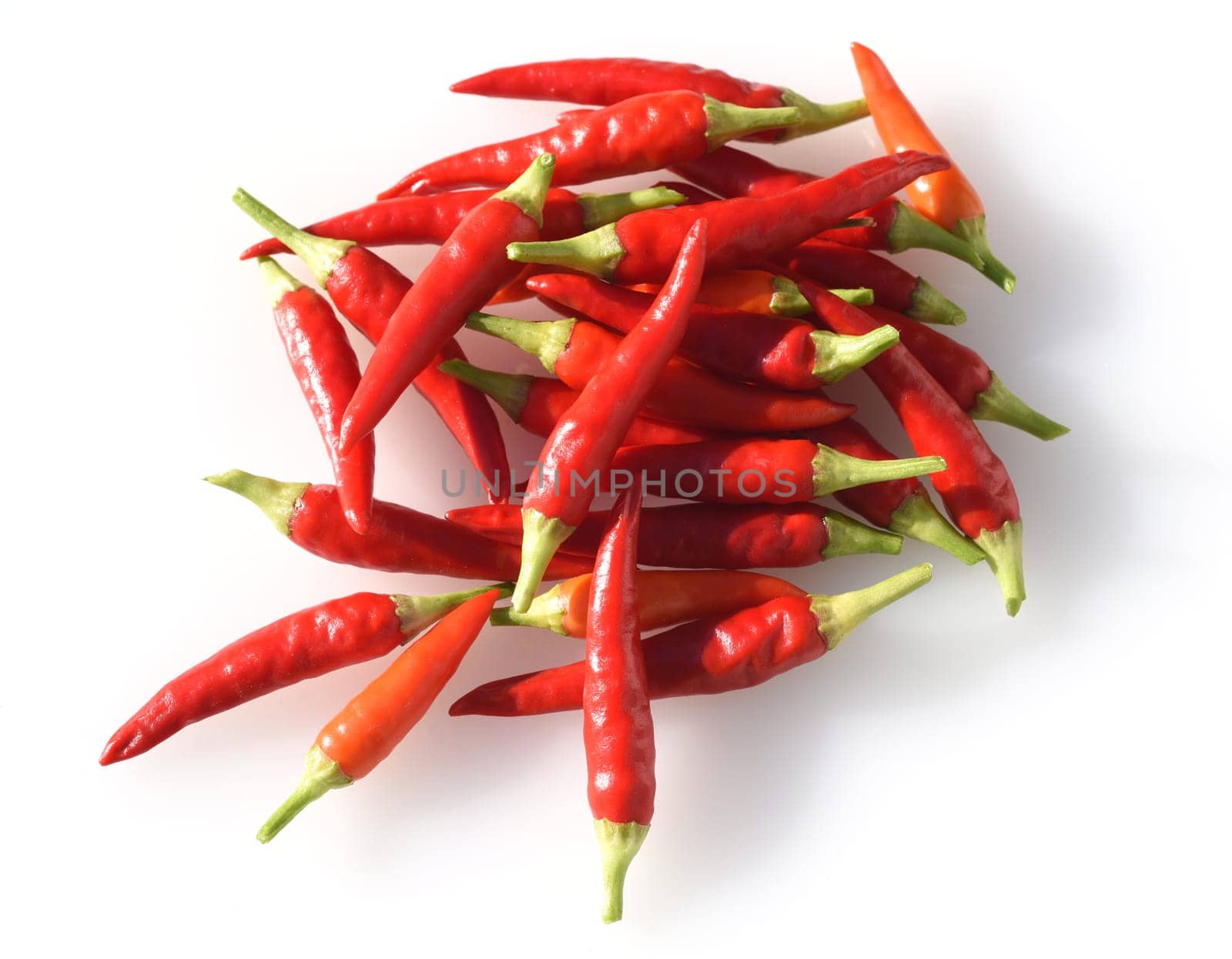 Chili,Capsicum is a spicy spice plant. Chili,Capsicum is a hot spice plant.